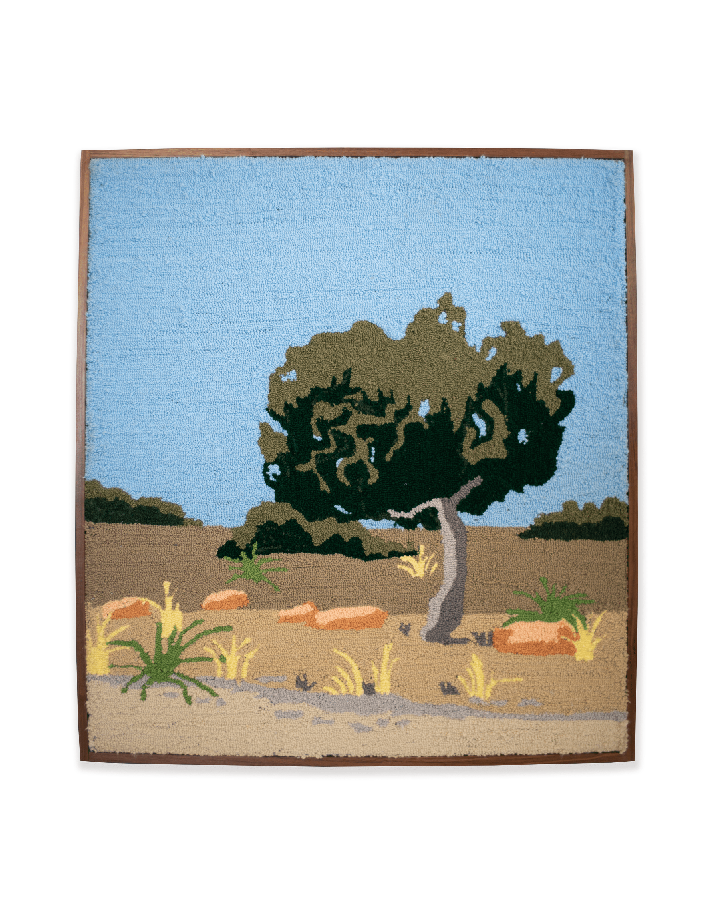 𝑫𝒆𝒔𝒆𝒓𝒕 𝒐𝒂𝒔𝒊𝒔