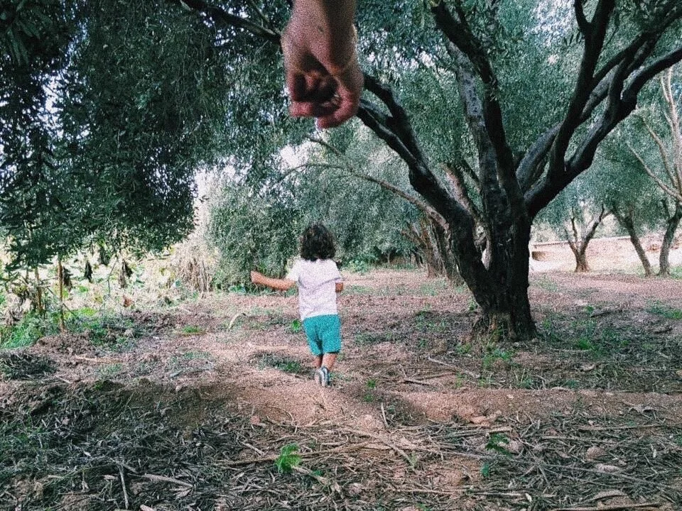 Child walking in a forest with adult hand reaching towards them
