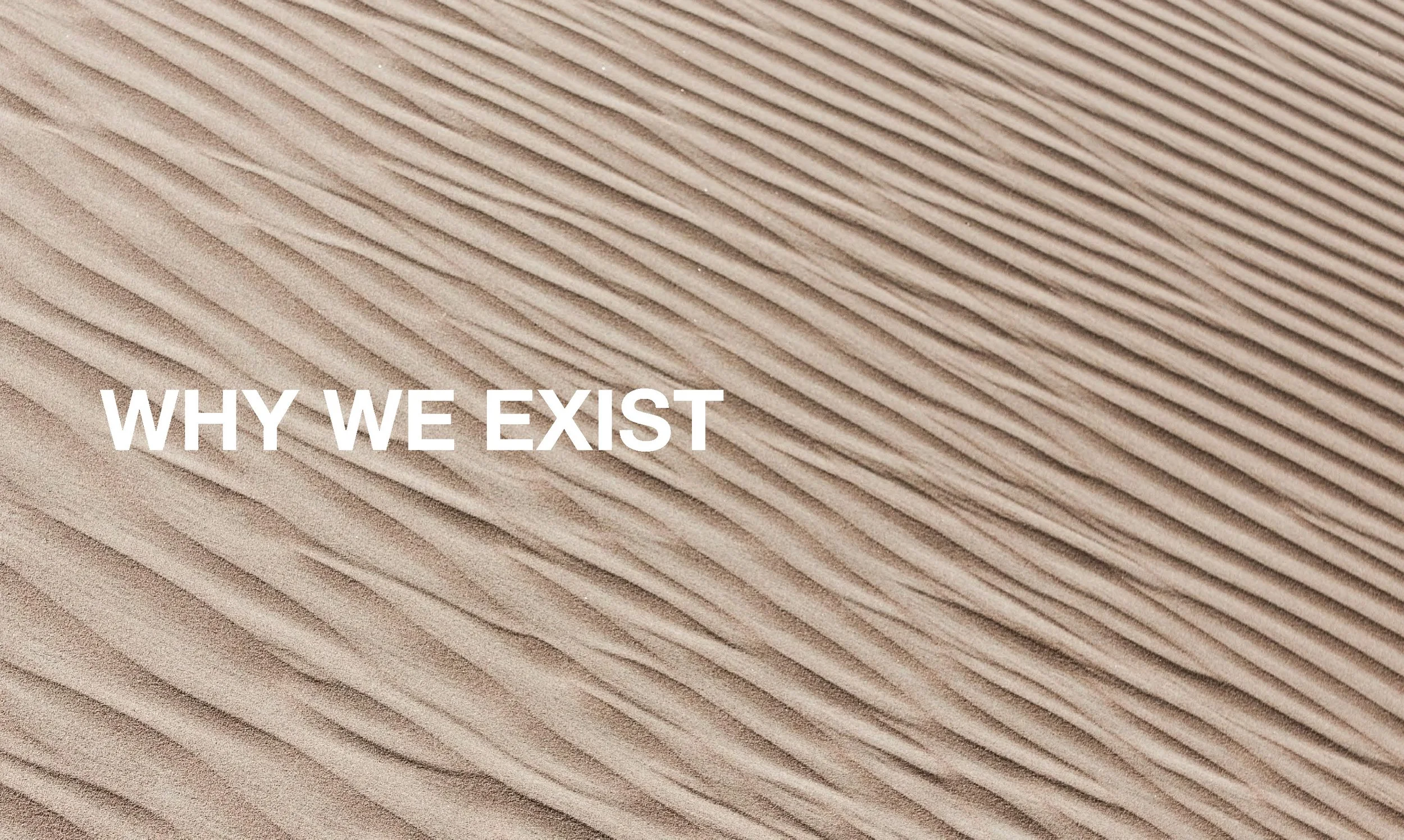 Brand Development v01.19.02-NoAnimations_Page_02.jpg