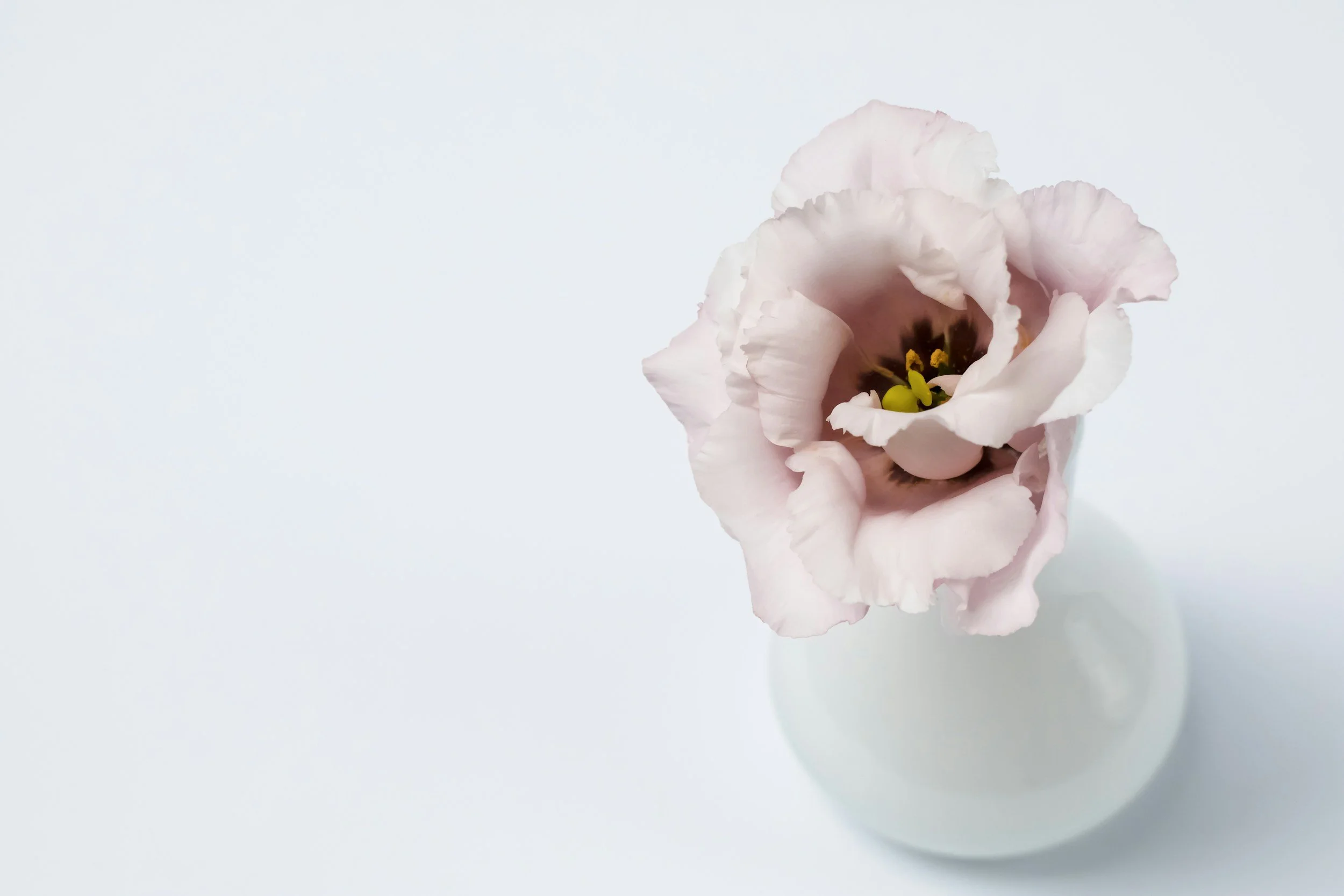 Mother’s Day Resources