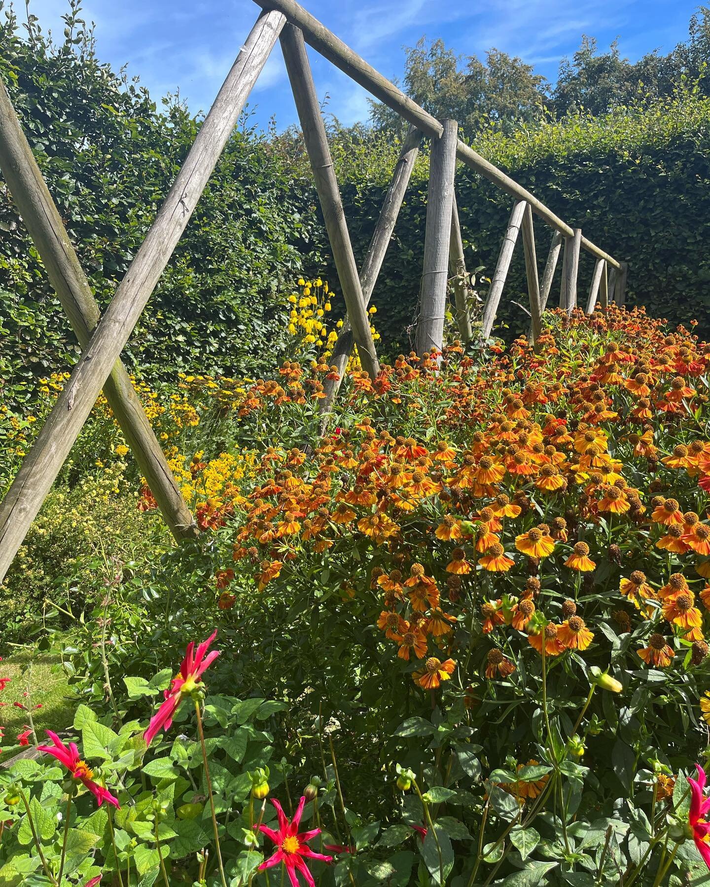 This is a beautifully delineated area and the structure is simple and appropriate #blouncehouse #nationagardenscheme #opengarden #inspiration #busmansholiday
