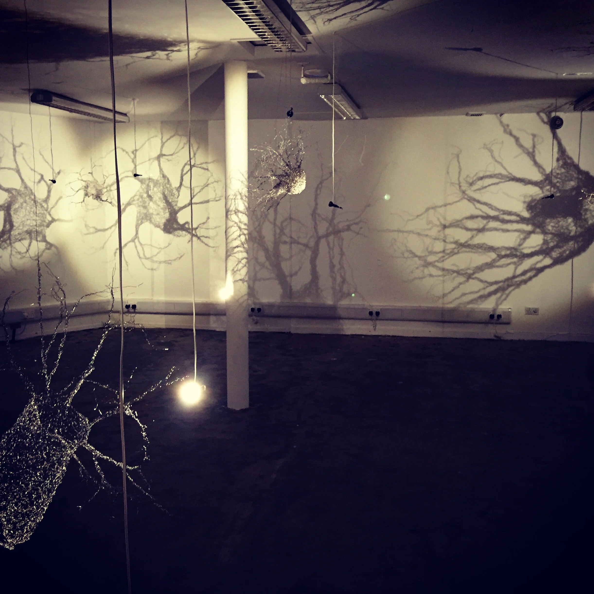 Potential Space, 2016