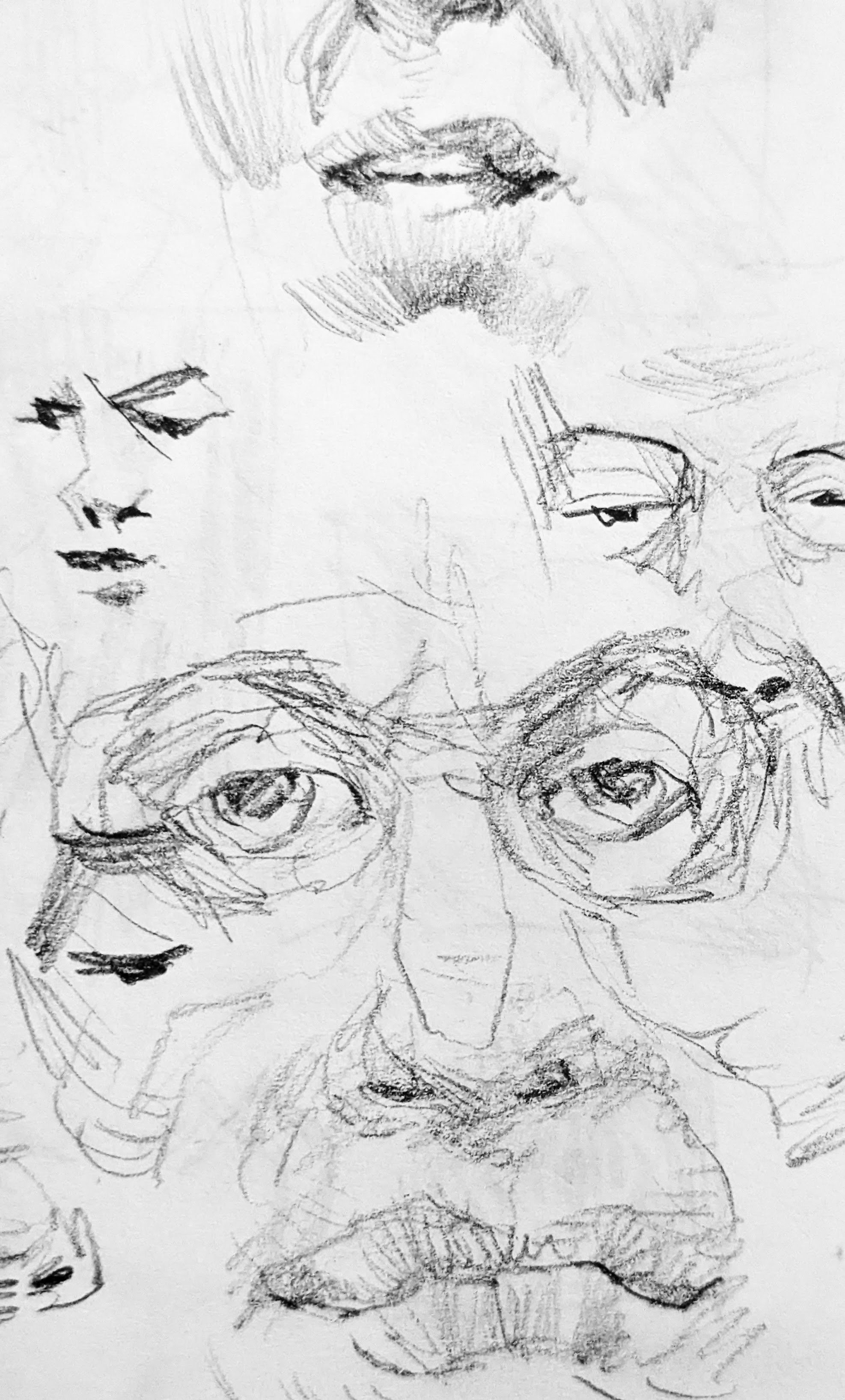 Facial bits