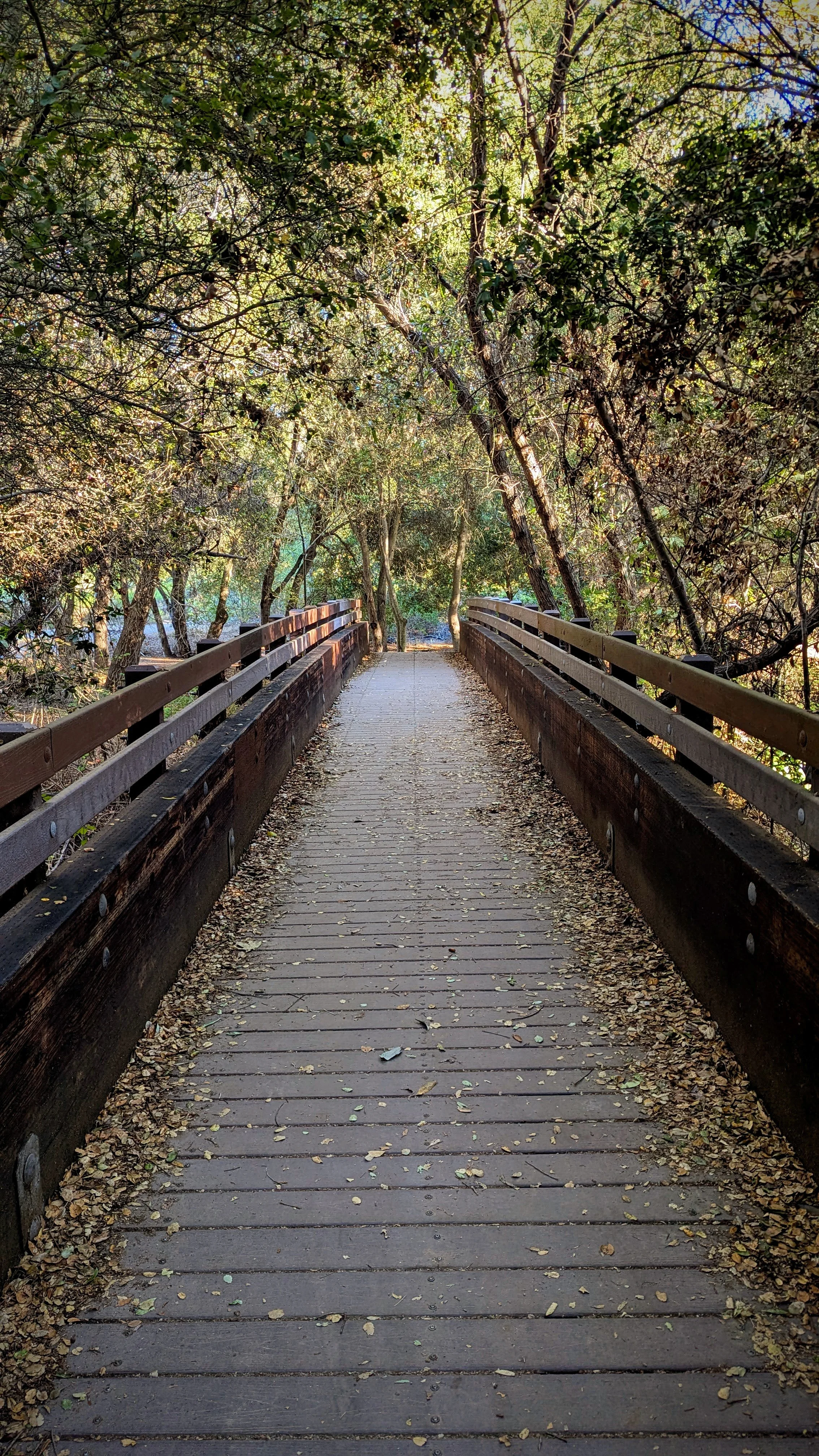 Path over bridge.jpg