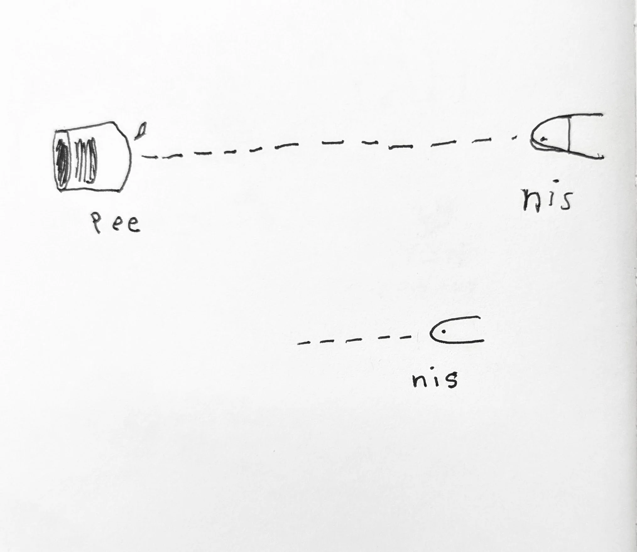Visual joke