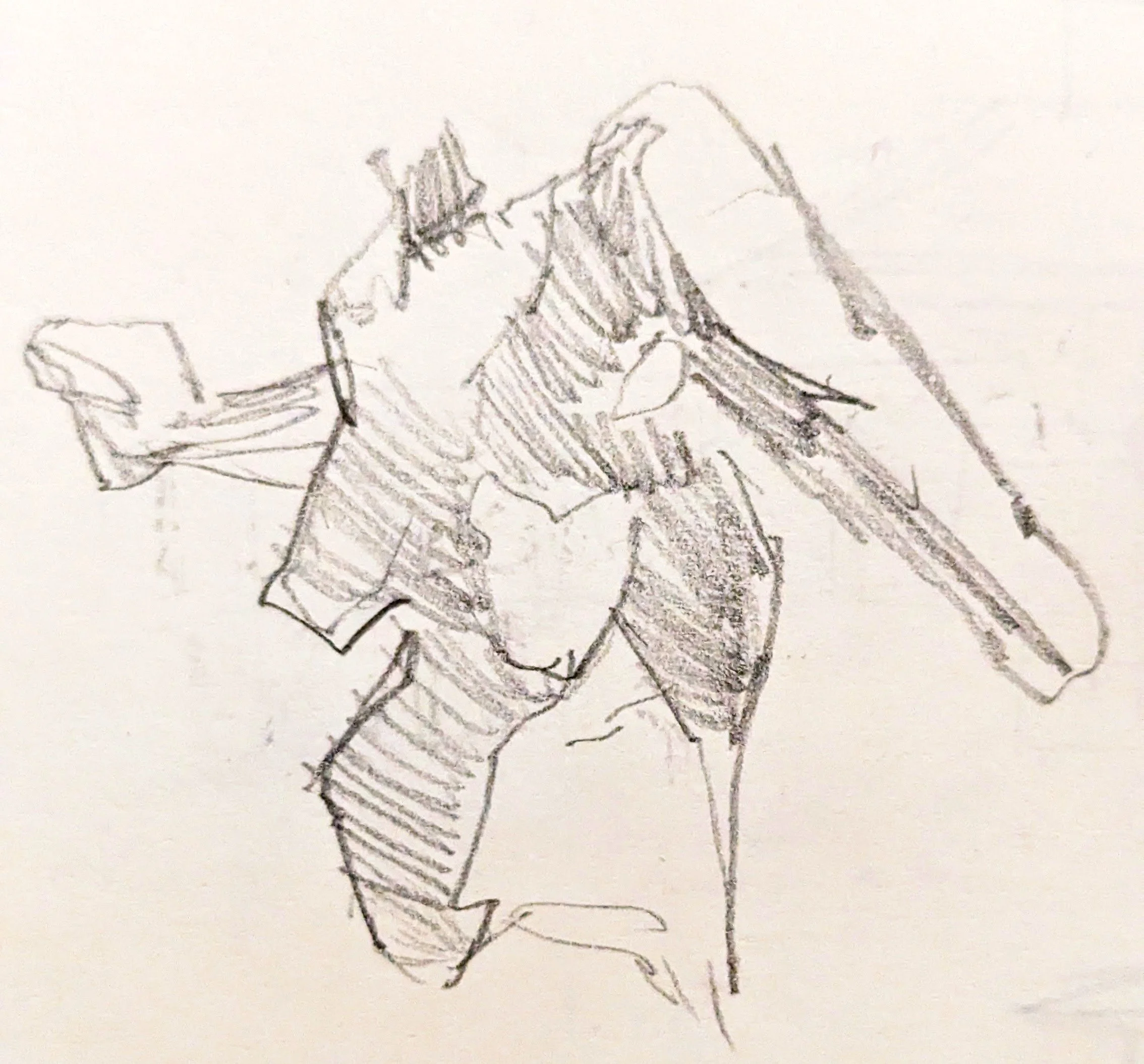 Torso