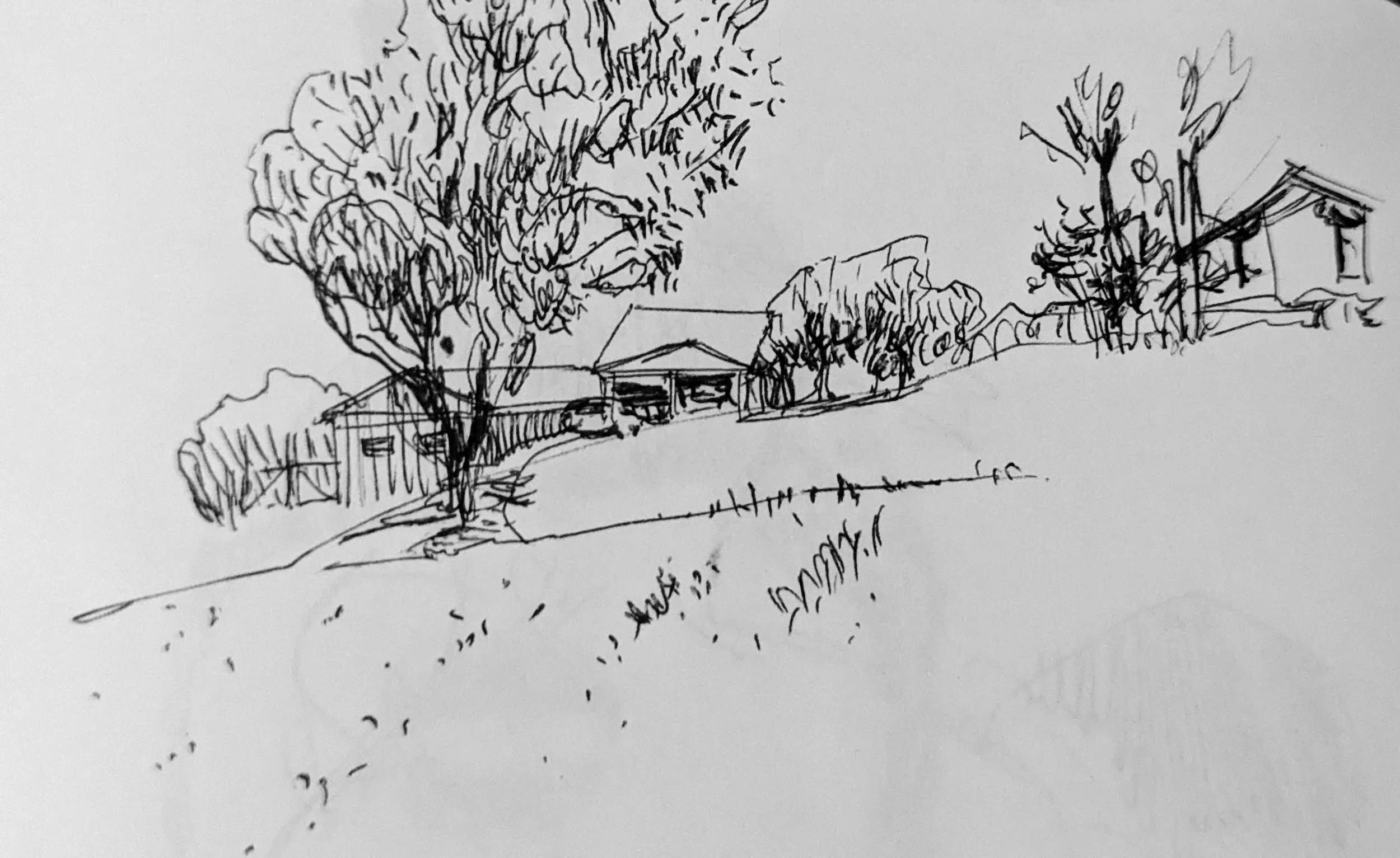 Hillside homes