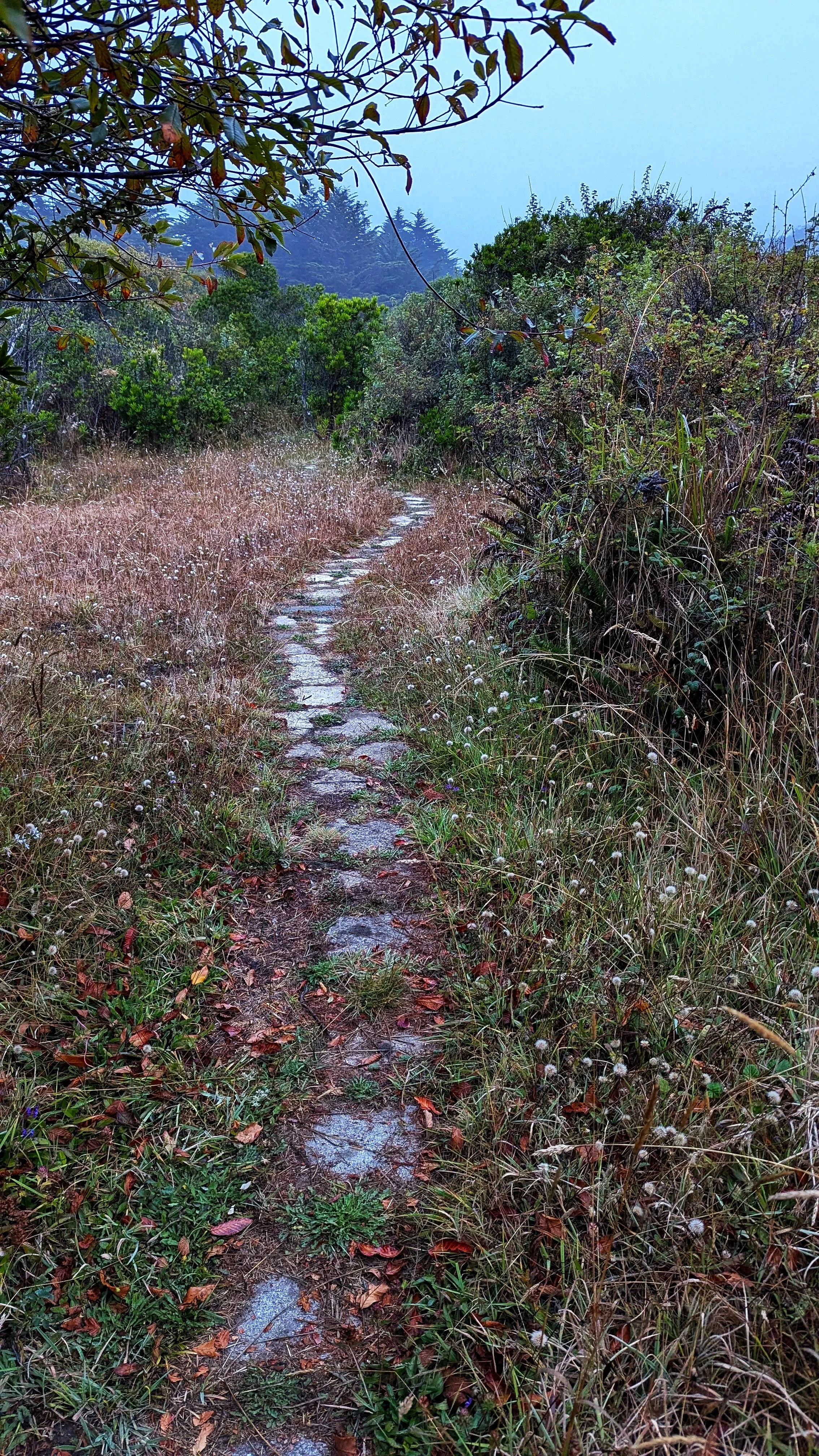 North Trail, Caspar, CA