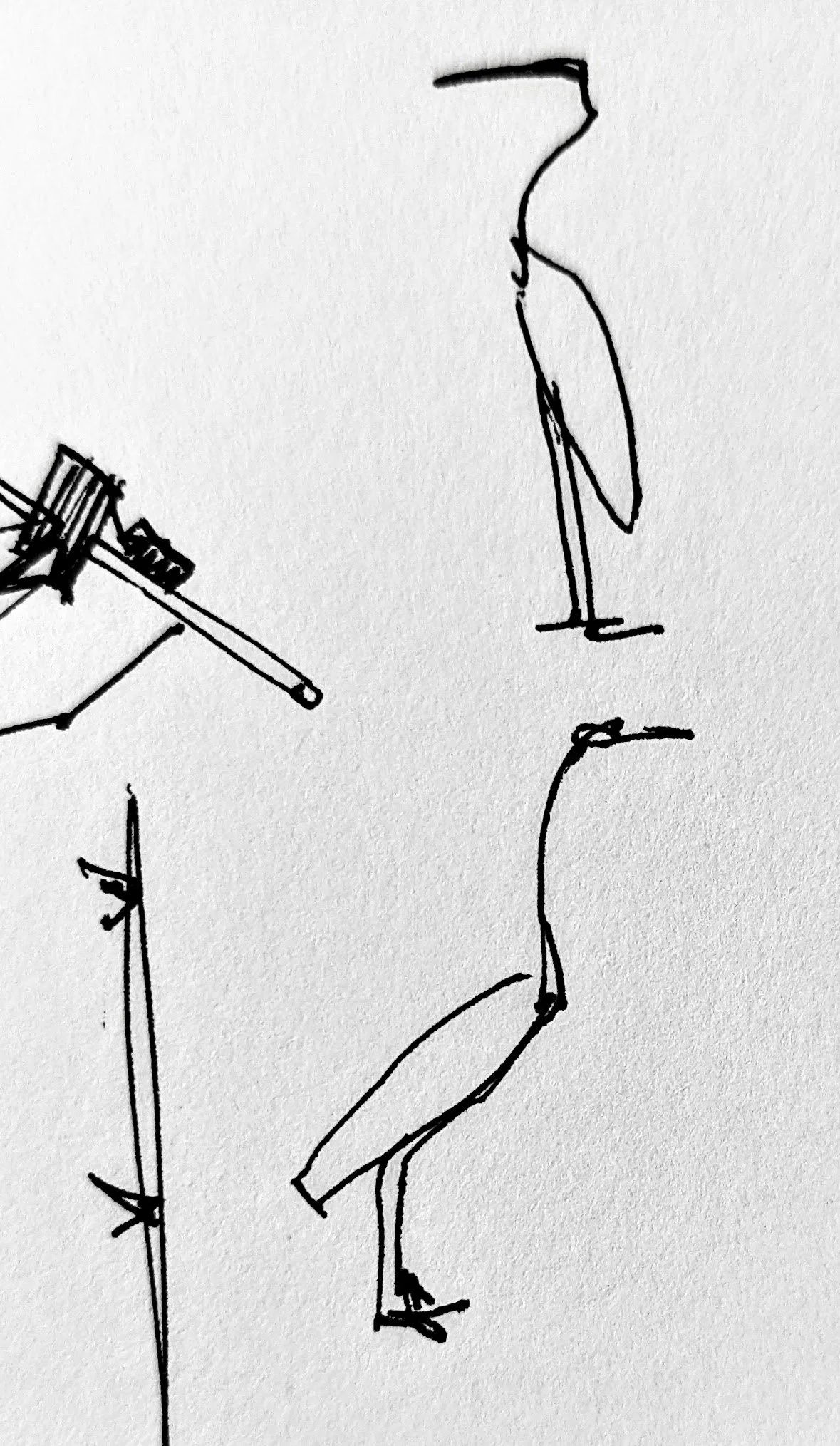 Cranes