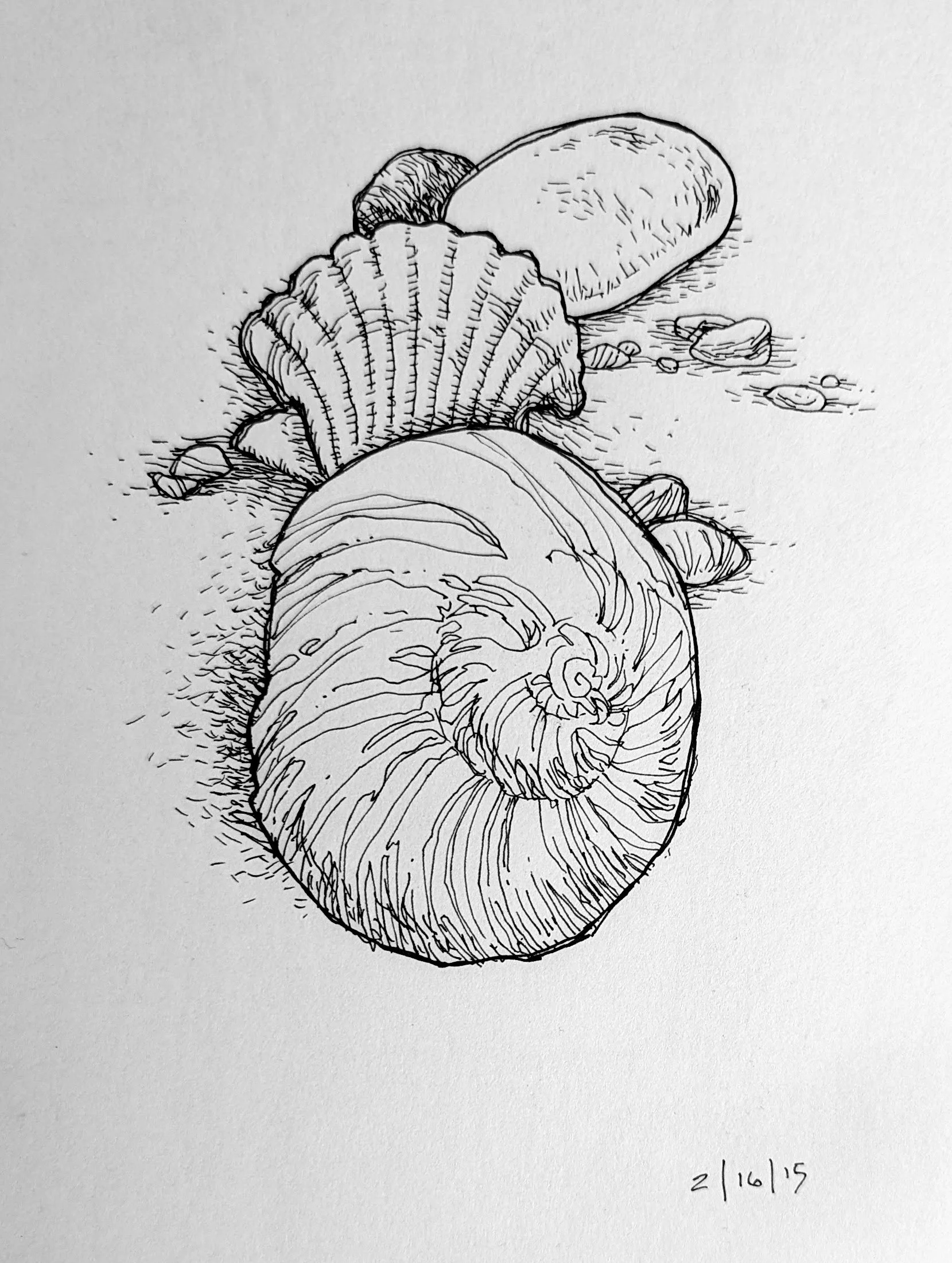 Shells