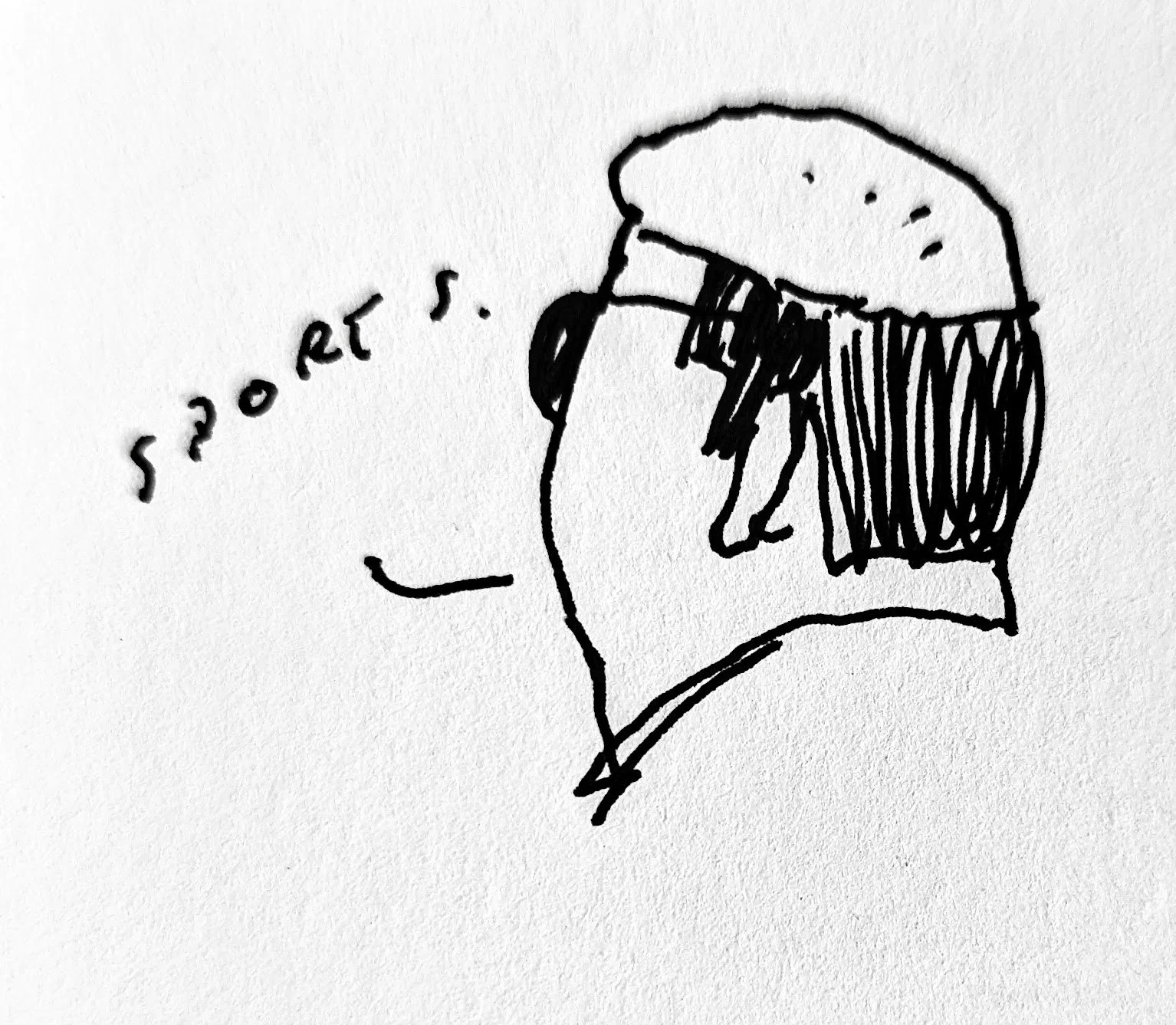 Sports fan