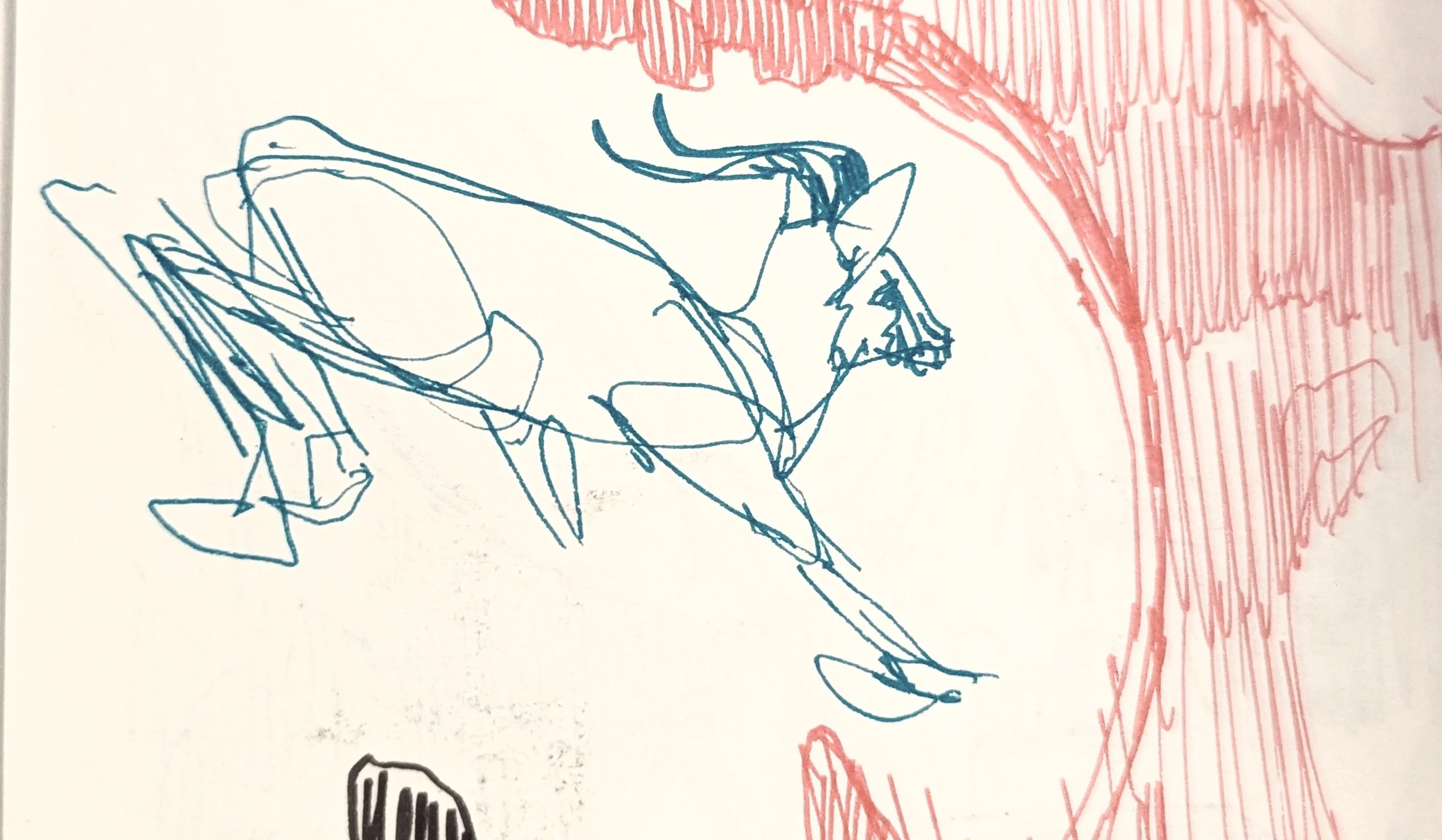 Deer