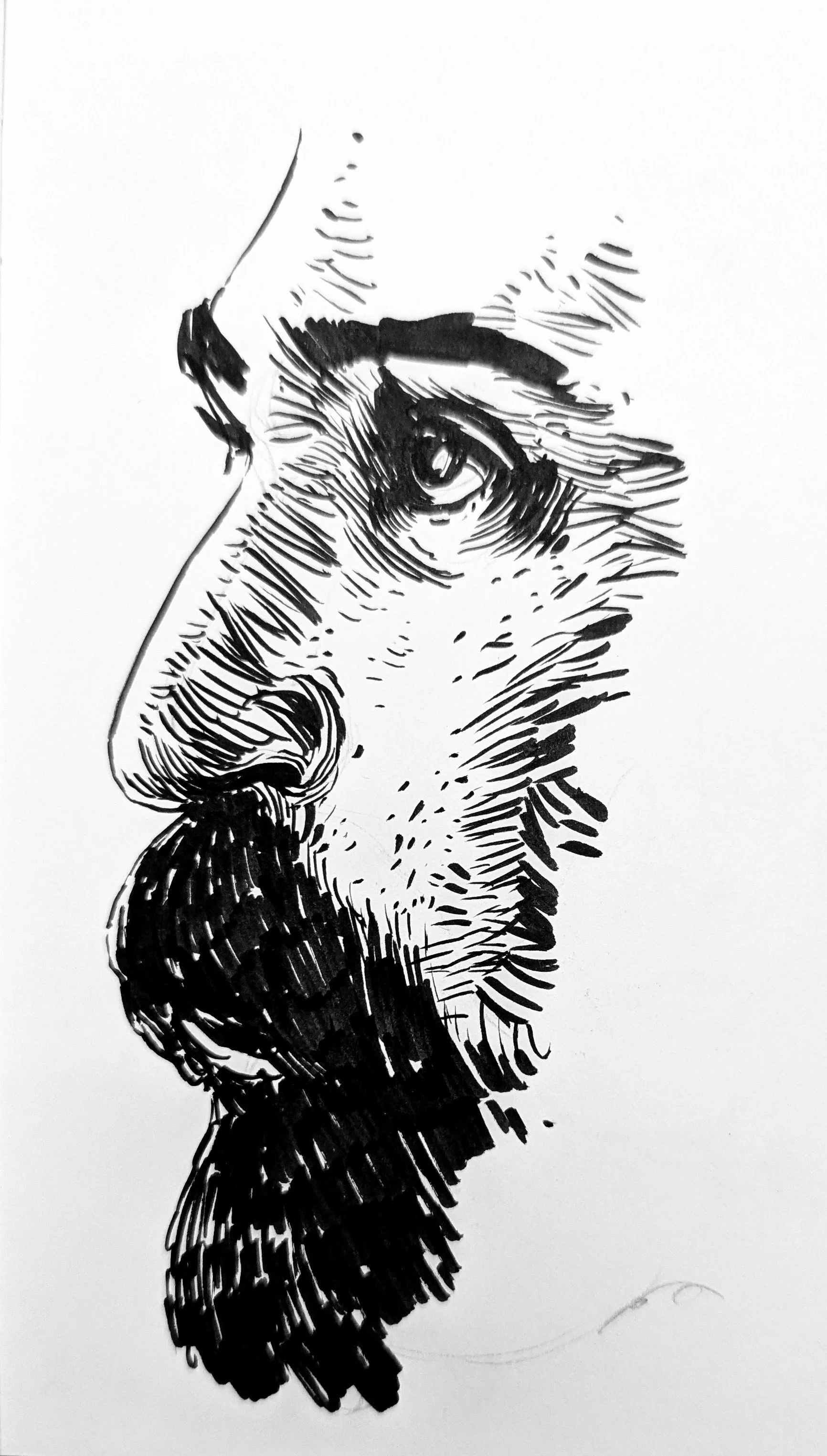 Big face