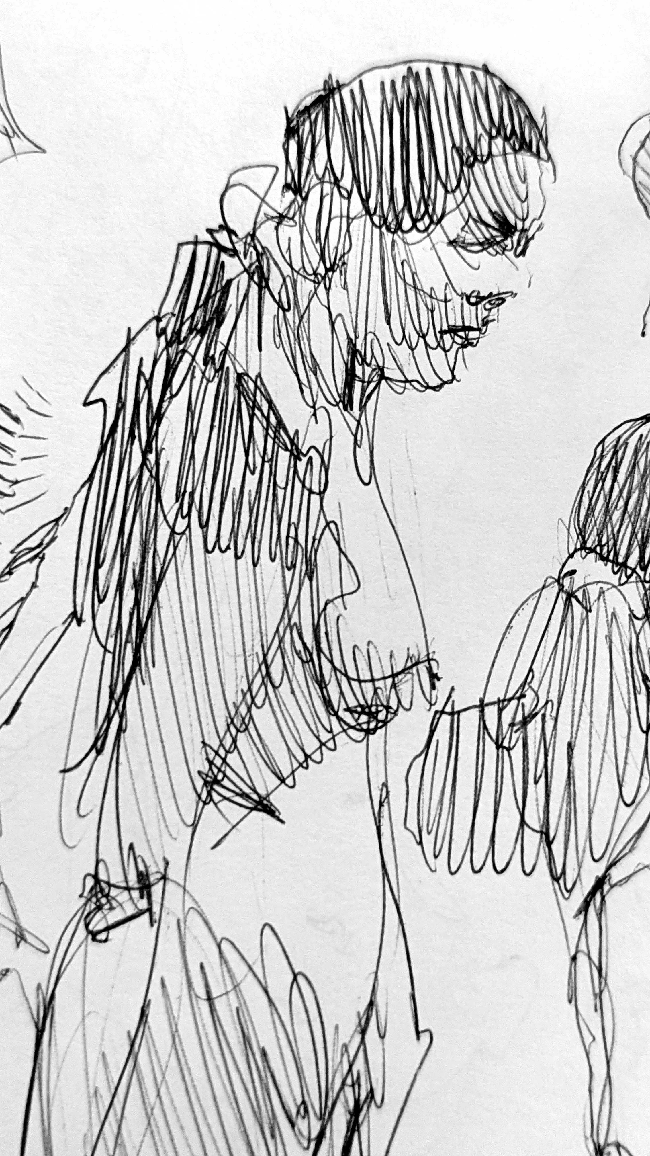 Model study