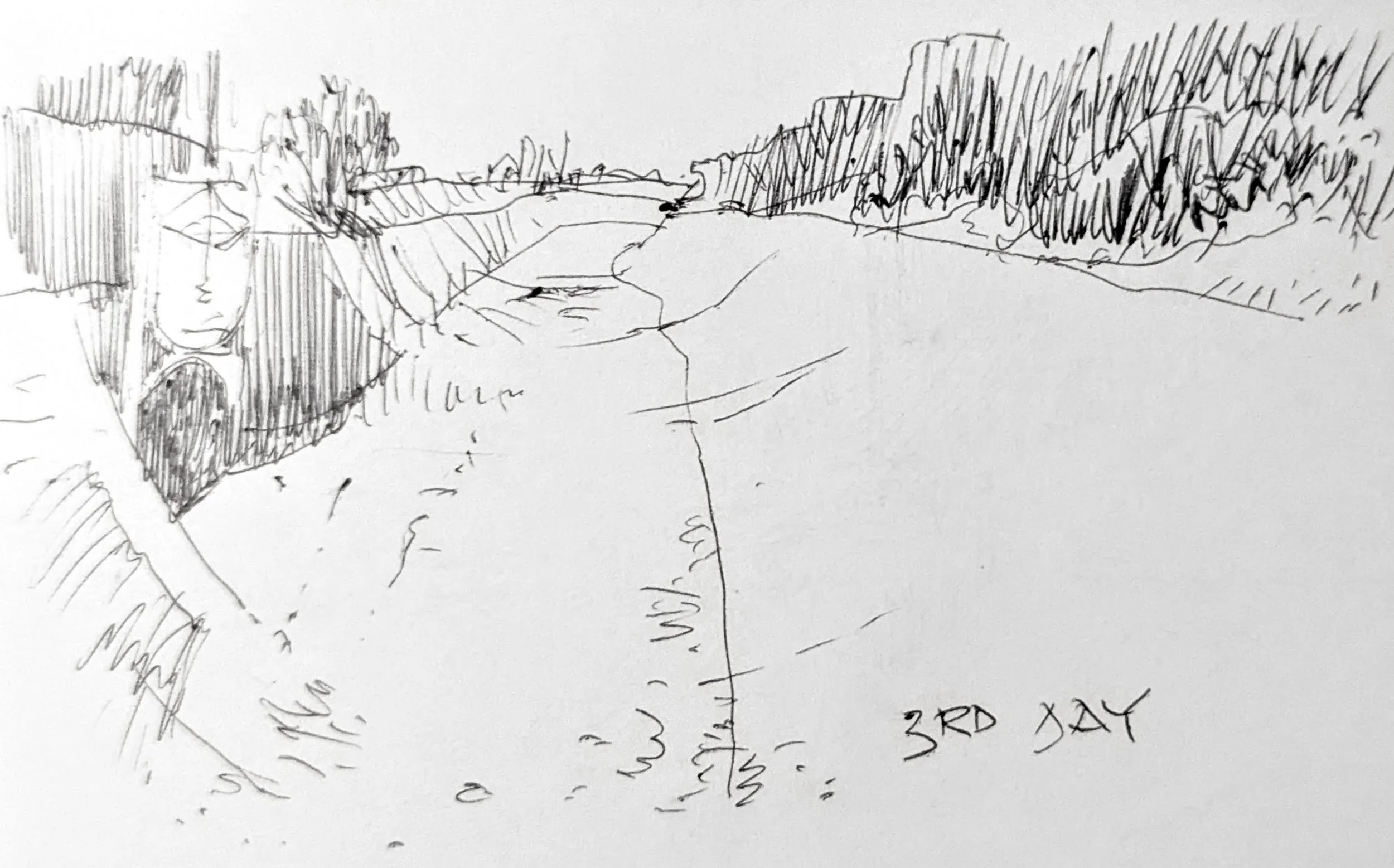 Ditch restoration