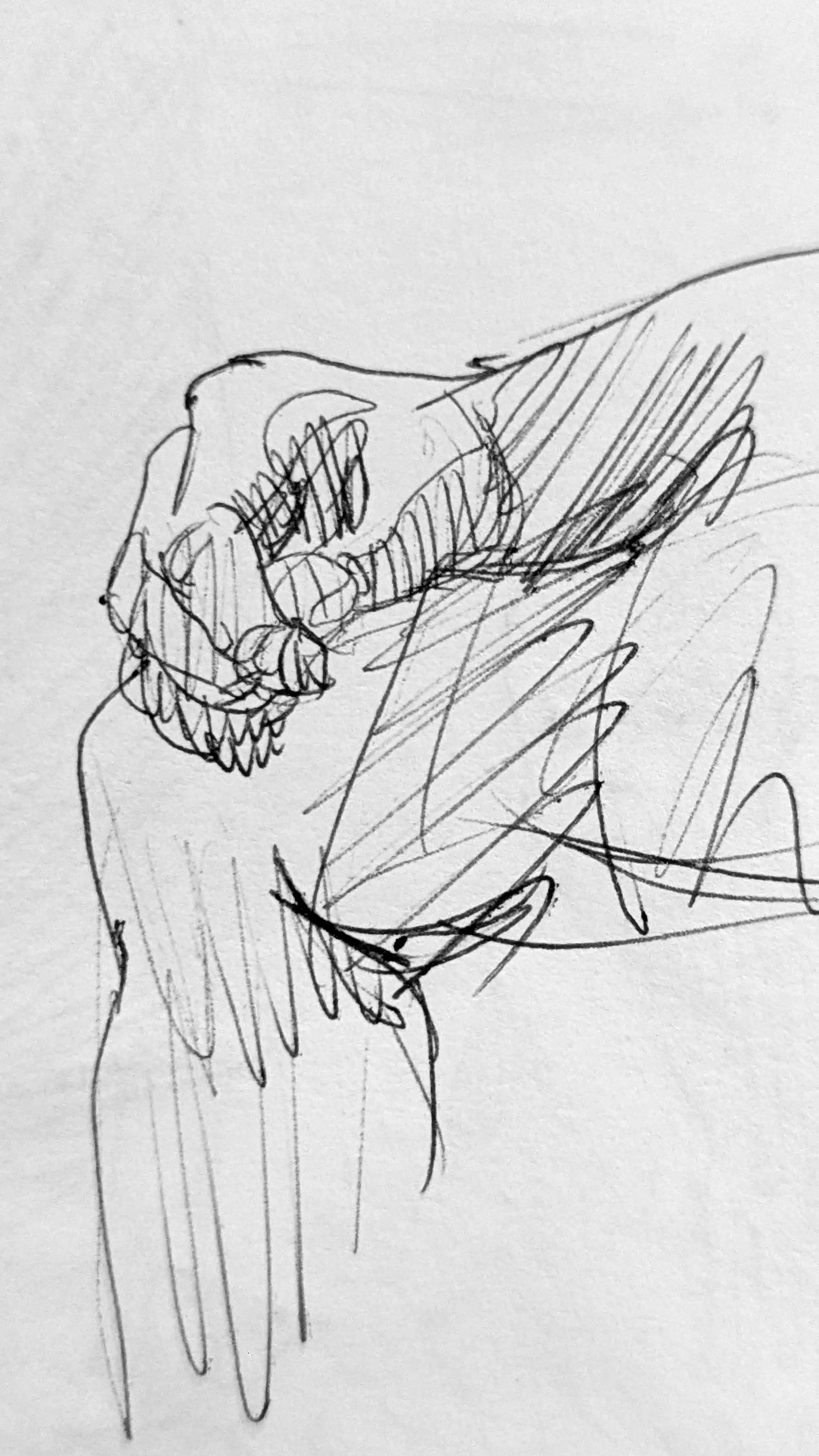 Model's hand