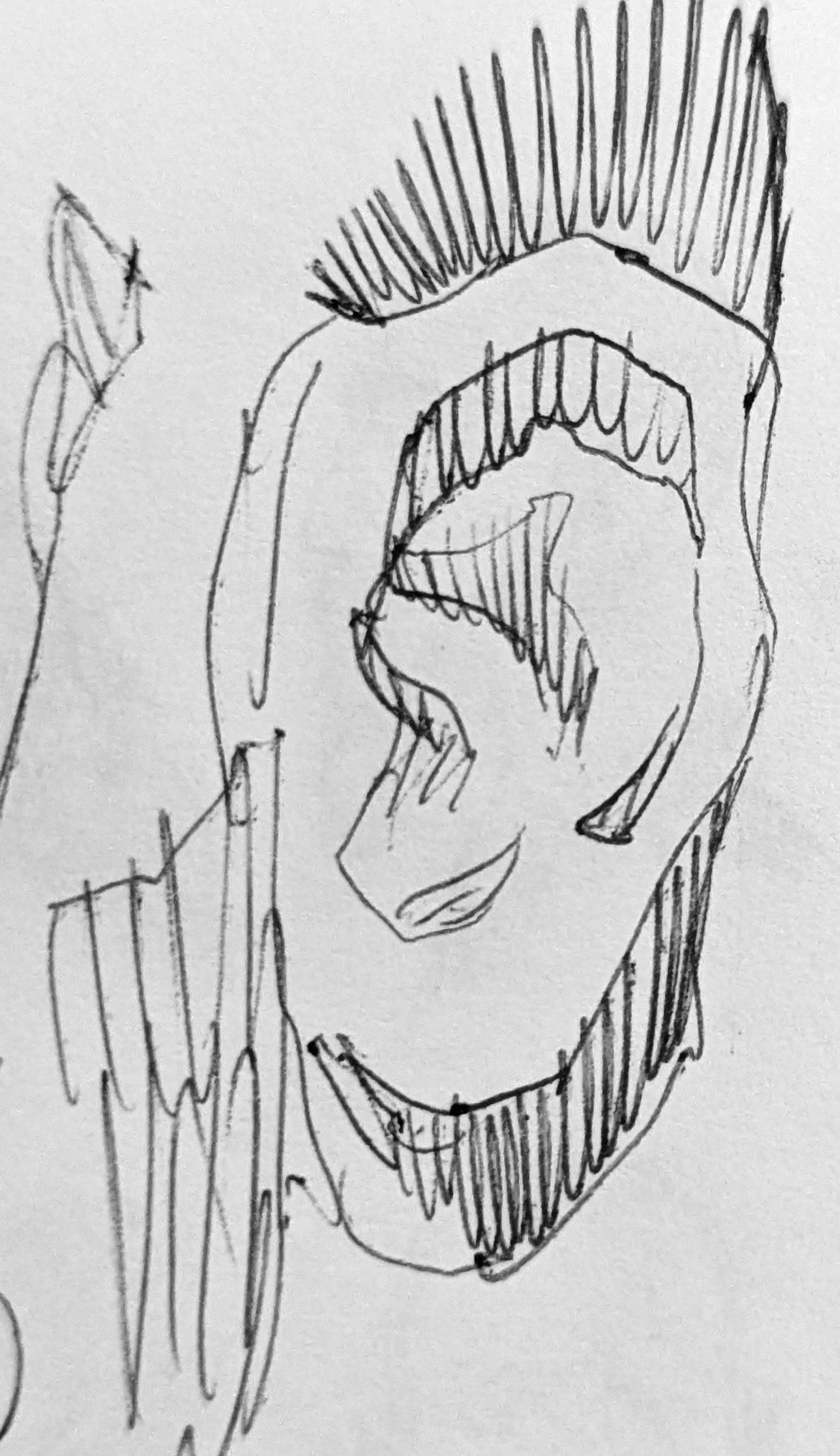 Ear