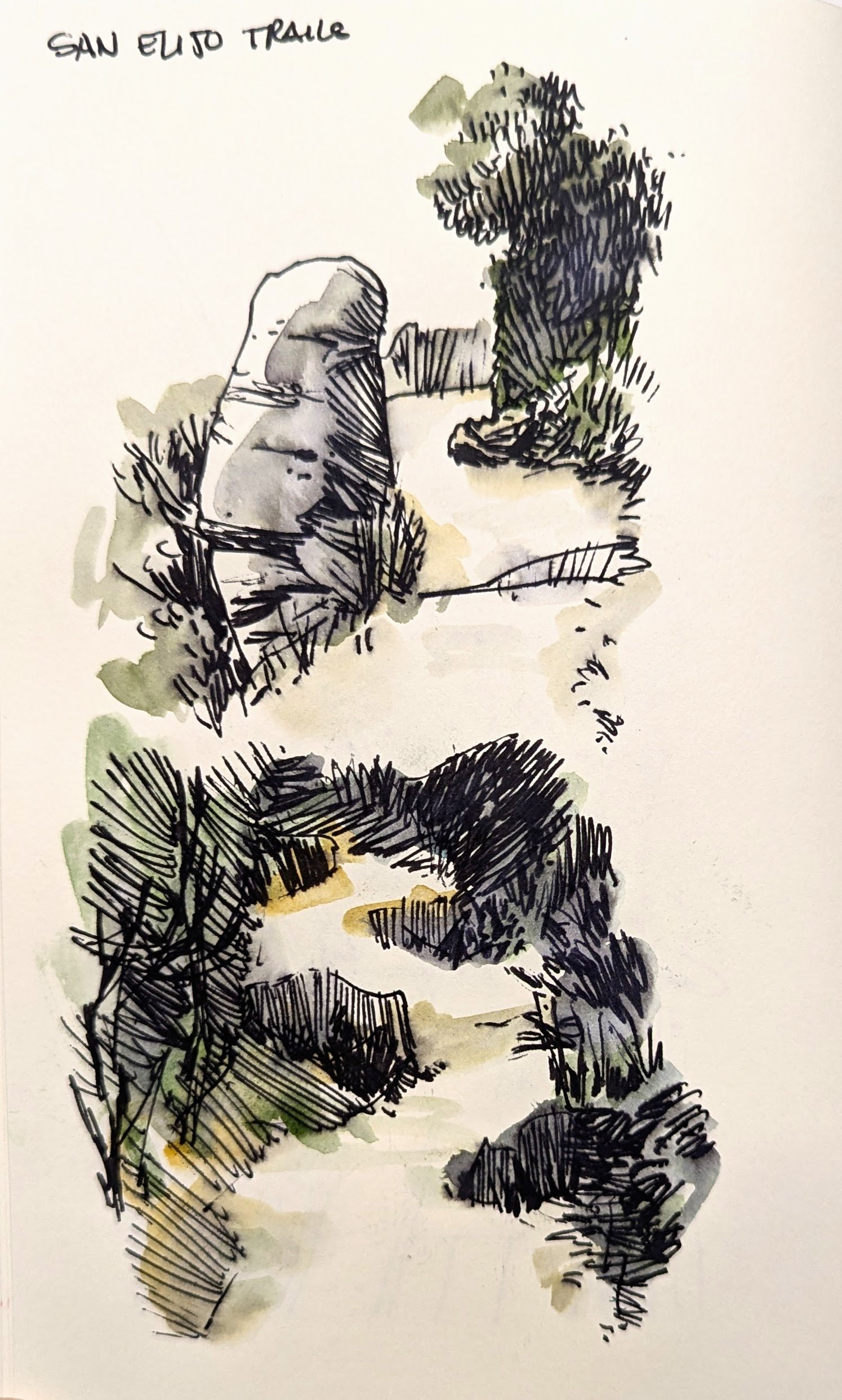 Paths