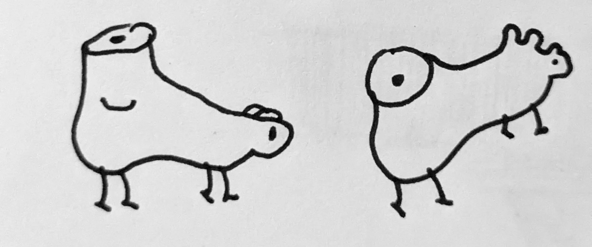 Feet turkeys