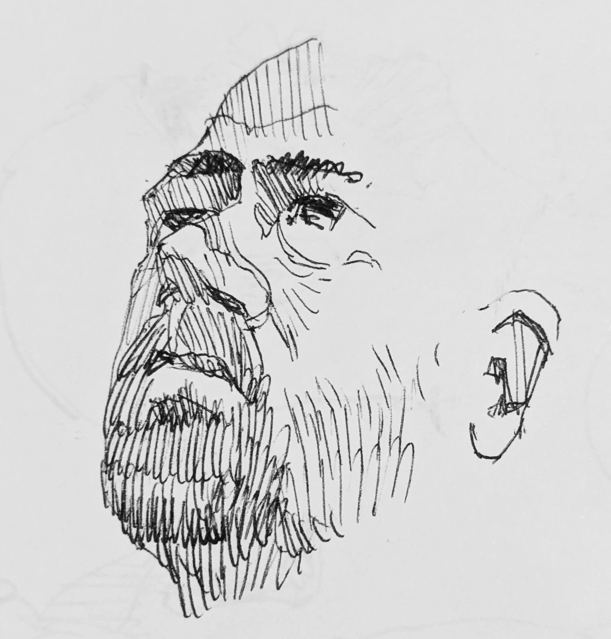 Occasionally I have the privilege of drawing from life, like this model.