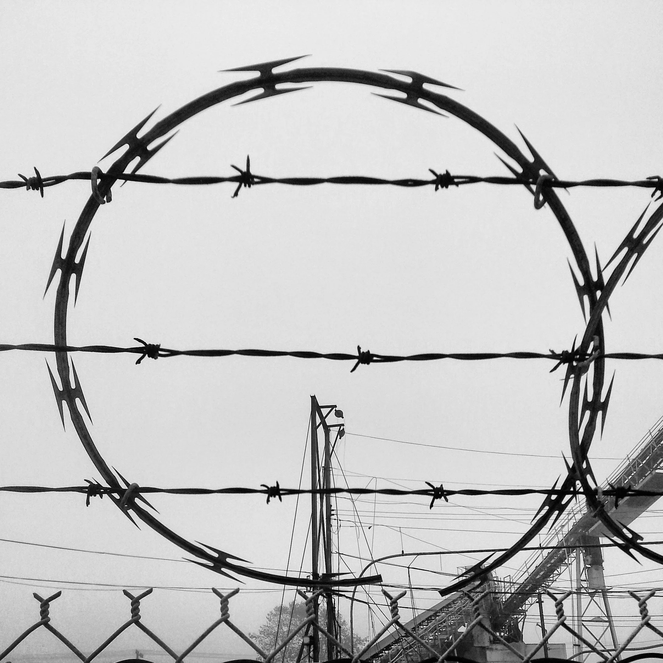 IND Barbed Wire.jpeg