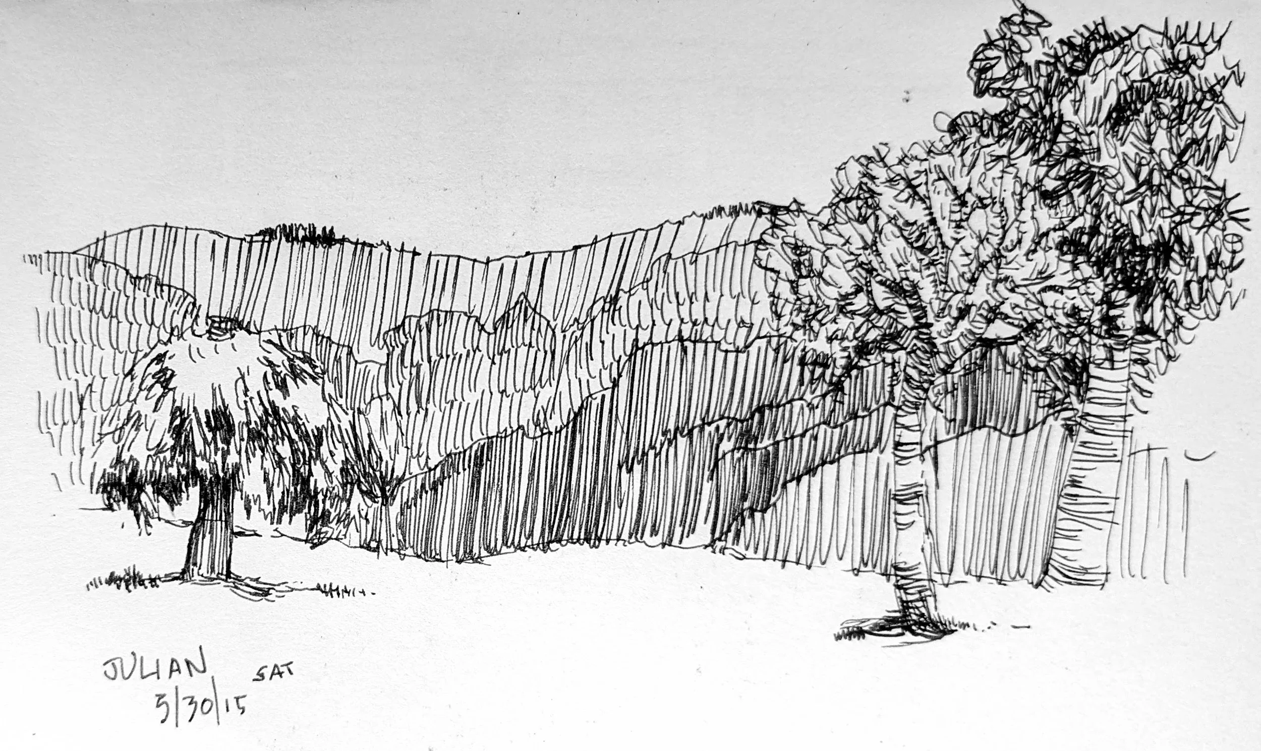 Hillside