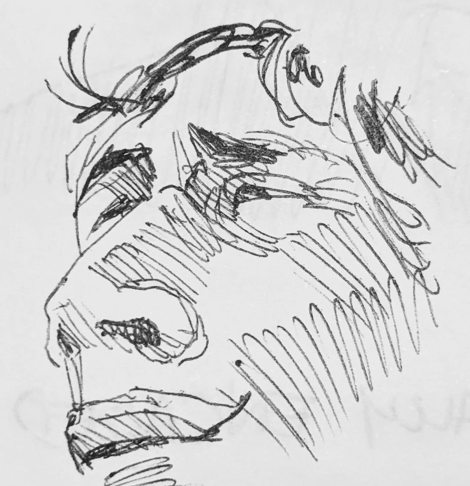 I draw a lot of people from the television. This guy is a boxer. I pause the TV and try to draw the subject before the screen goes to sleep, (about two minutes).