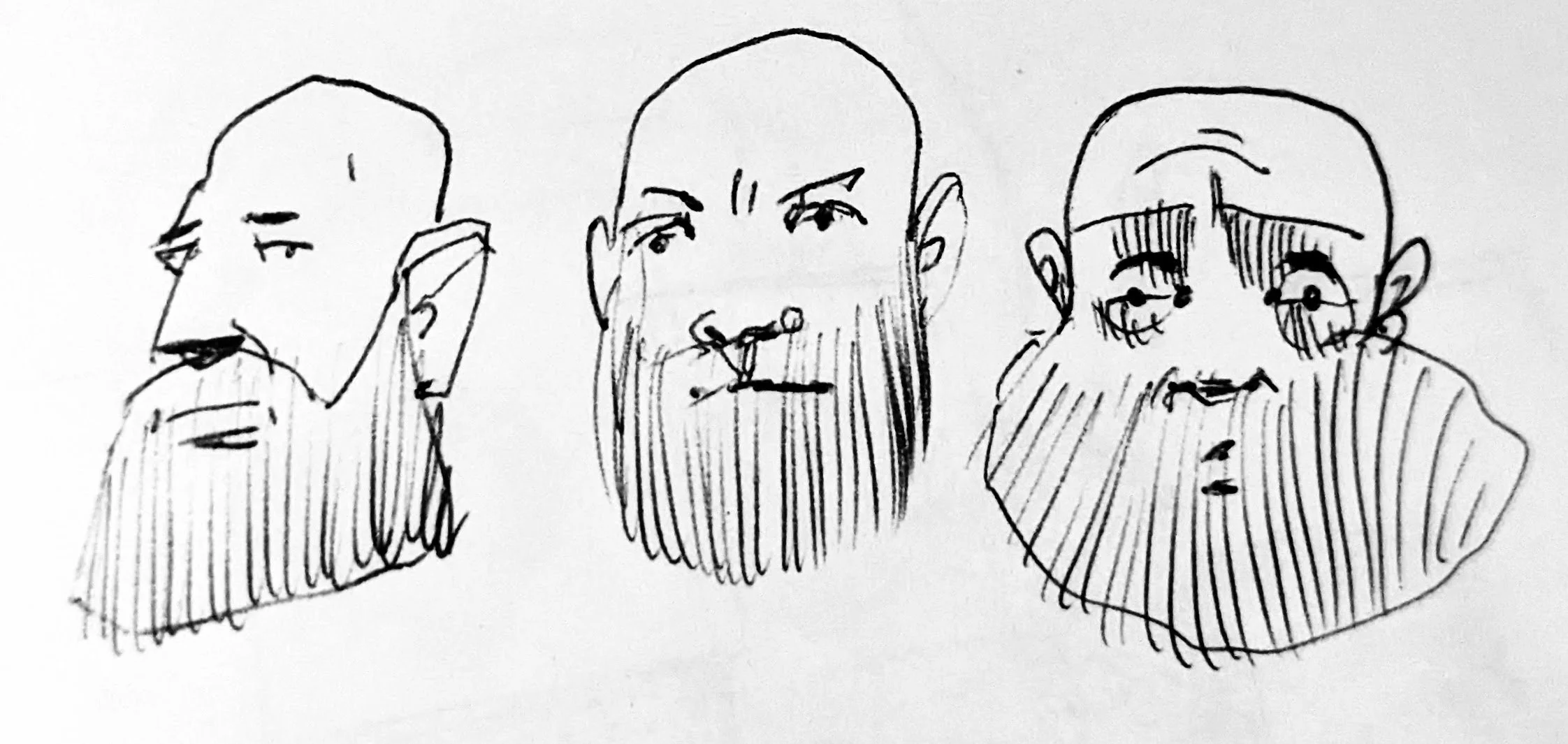 Expressive beards