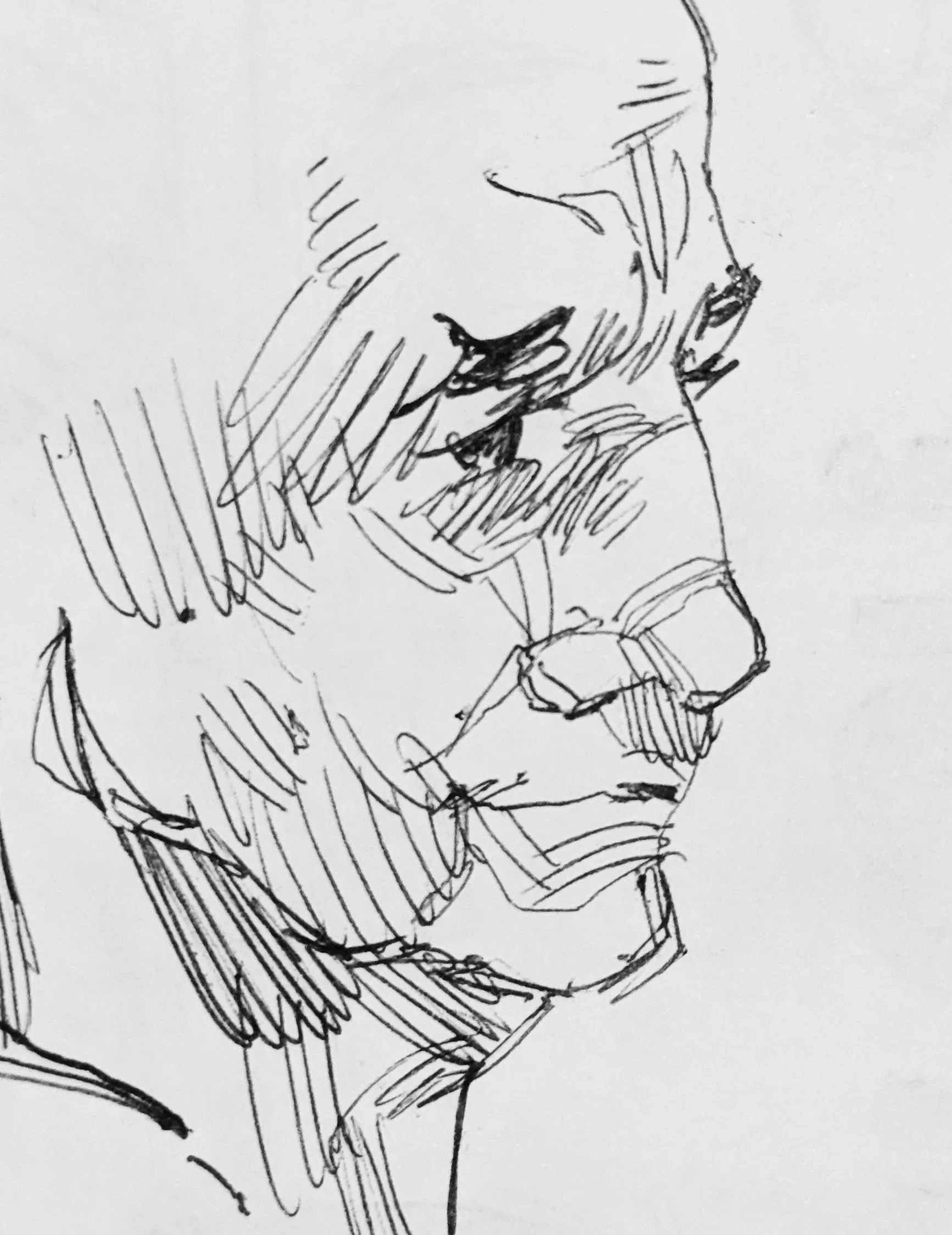 Hatching study.