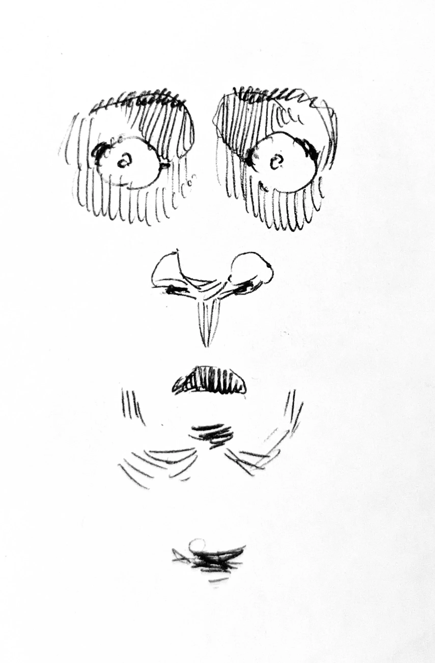 Shocked face
