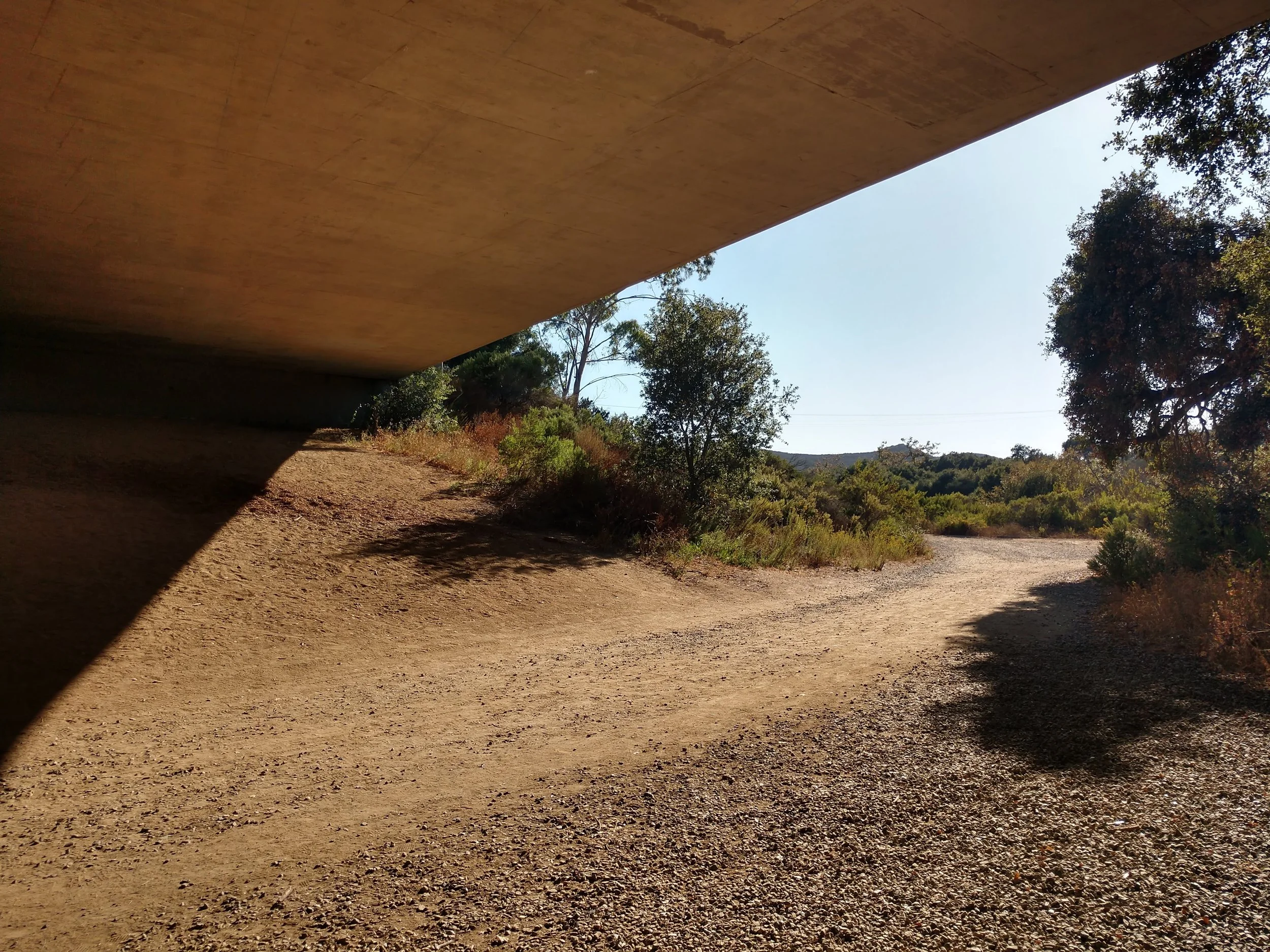 Buena Vista Creek, Carlsbad, CA