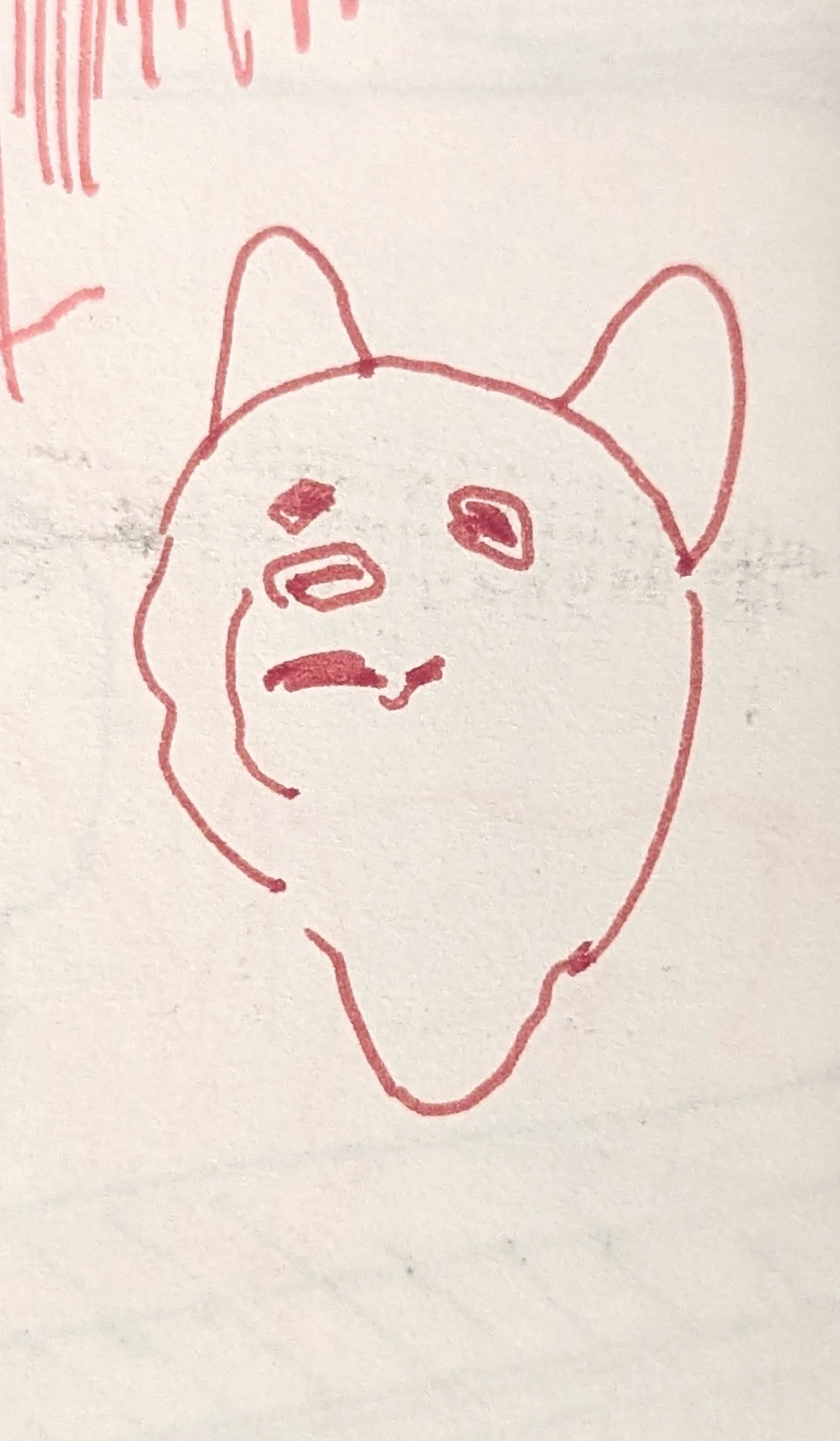 Pink dog