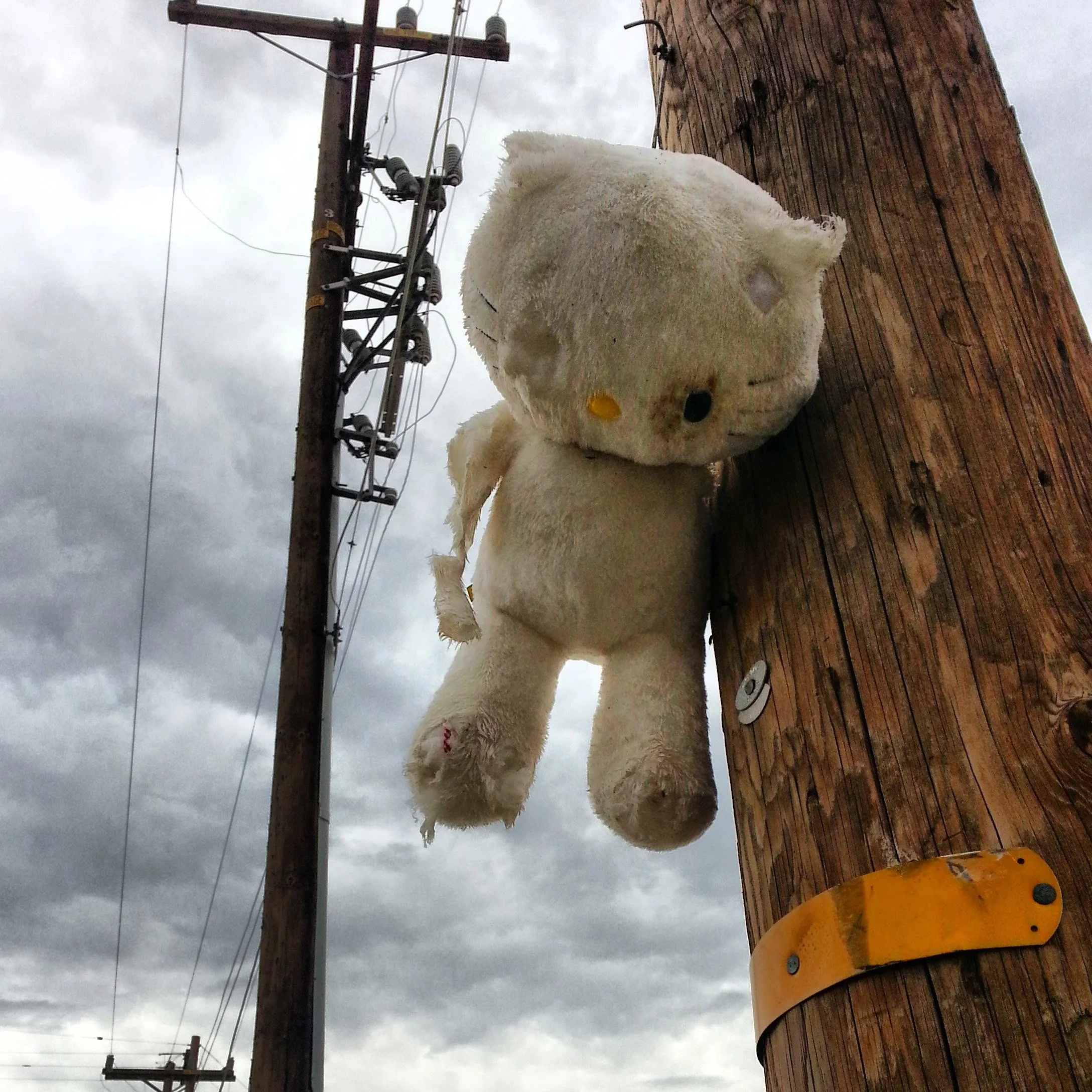 IND Stuff Animal Pole.jpeg