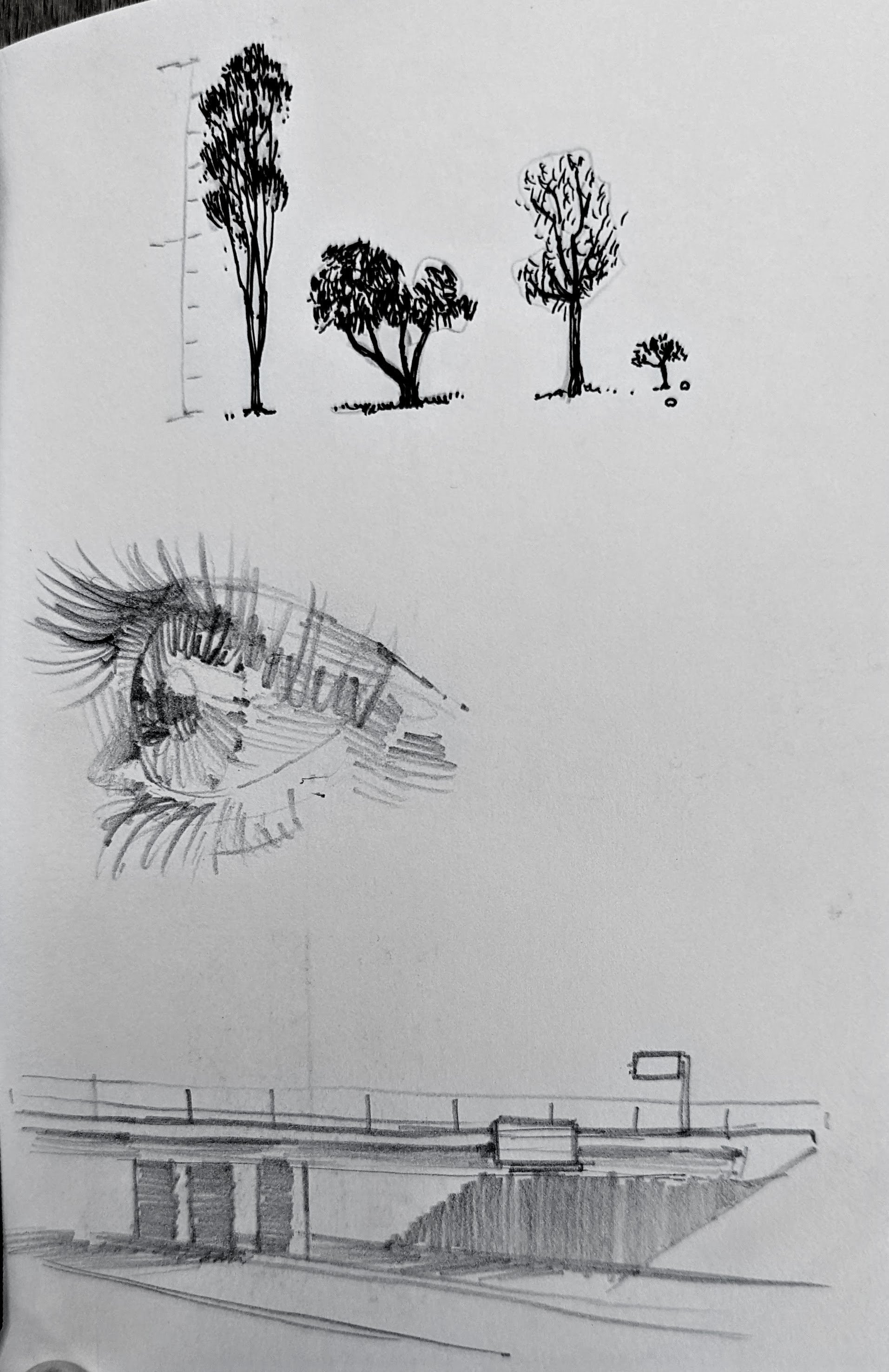Eyes and freeway bridge