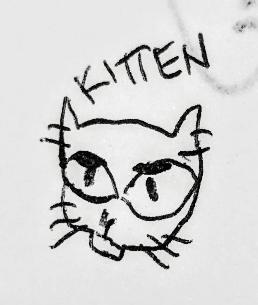 The angry cat.