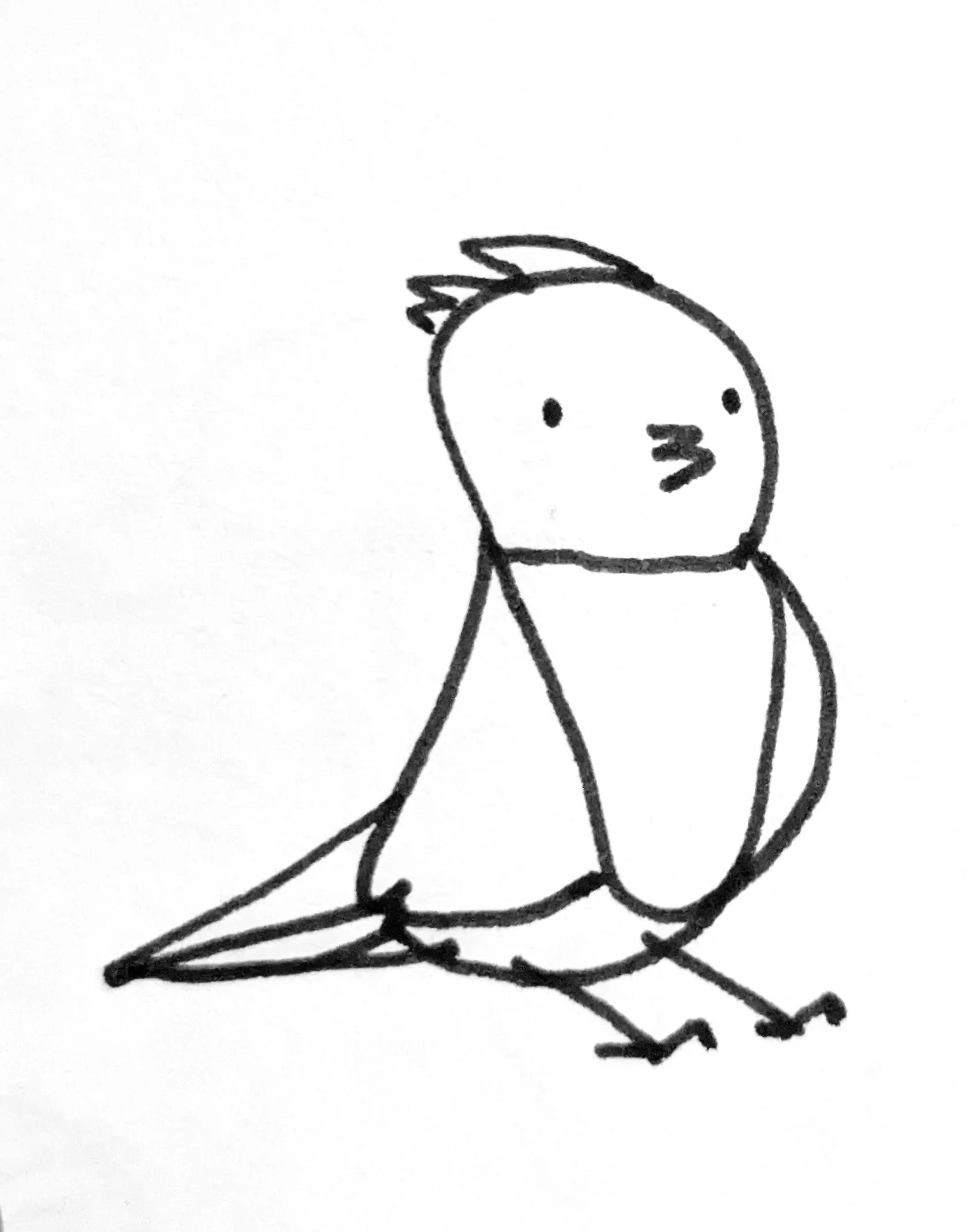 Cute burd
