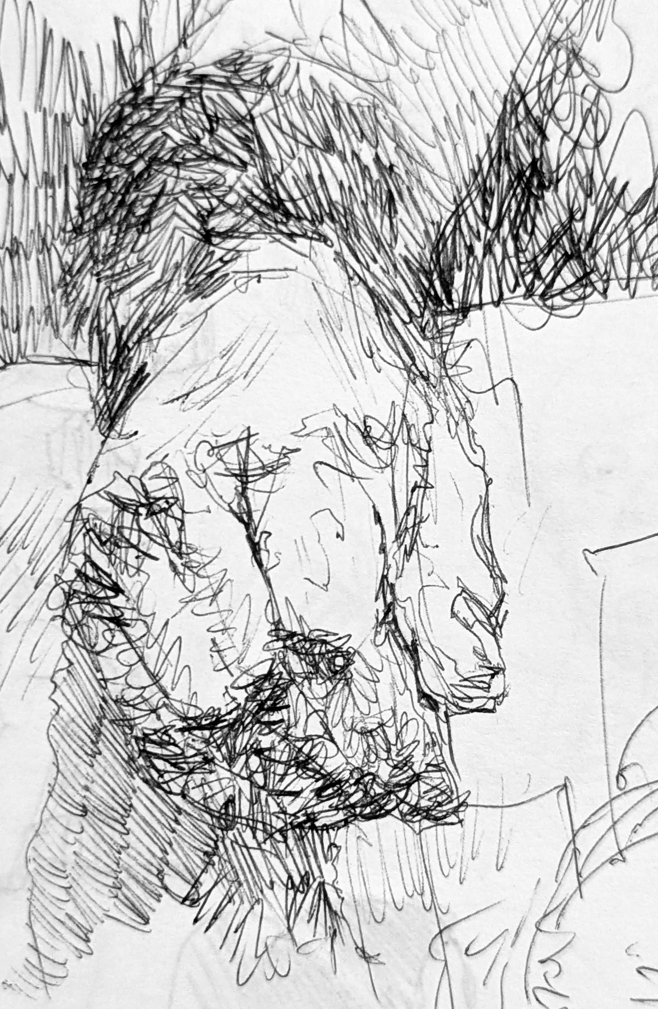 Hand