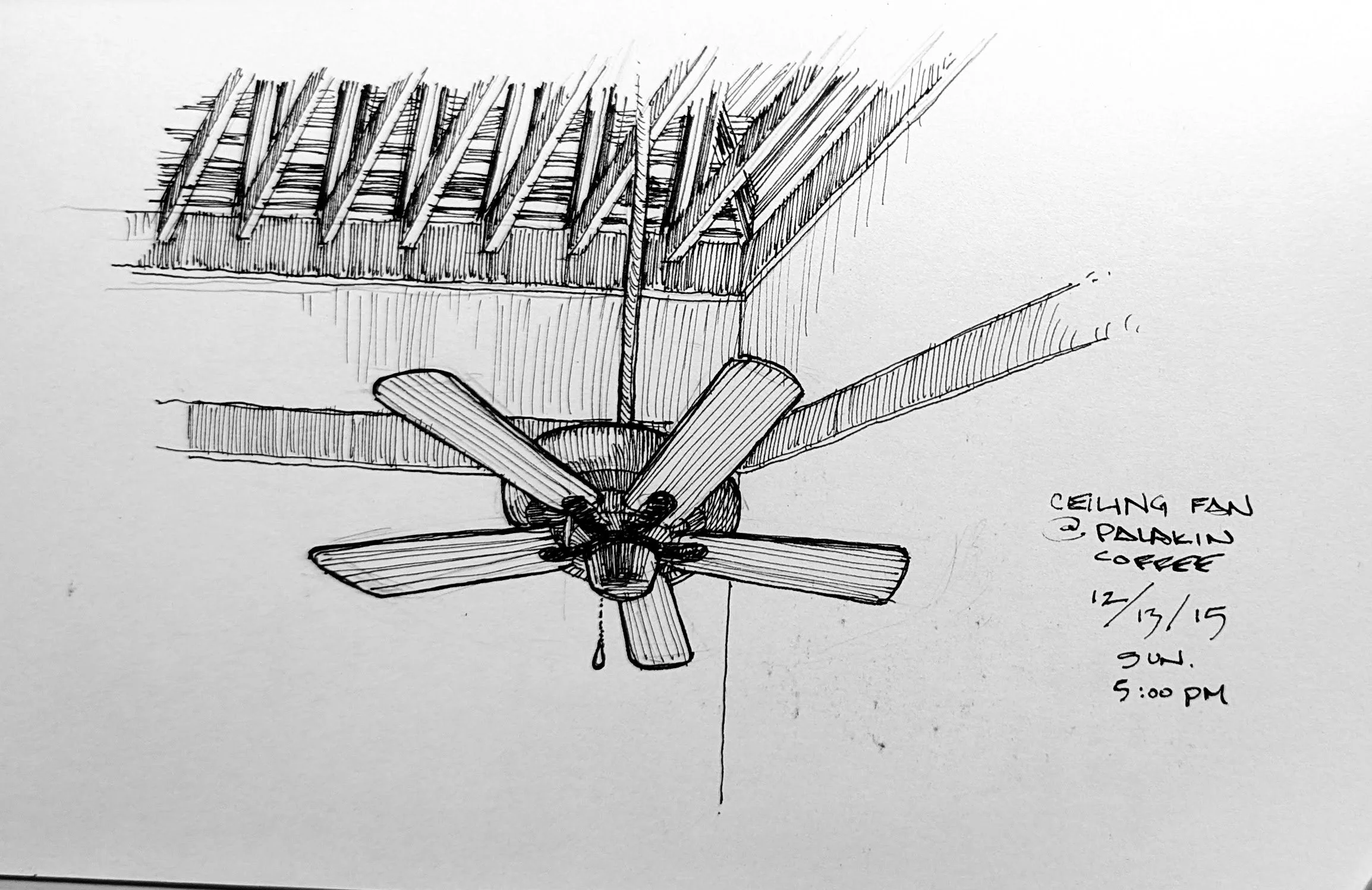 Fan