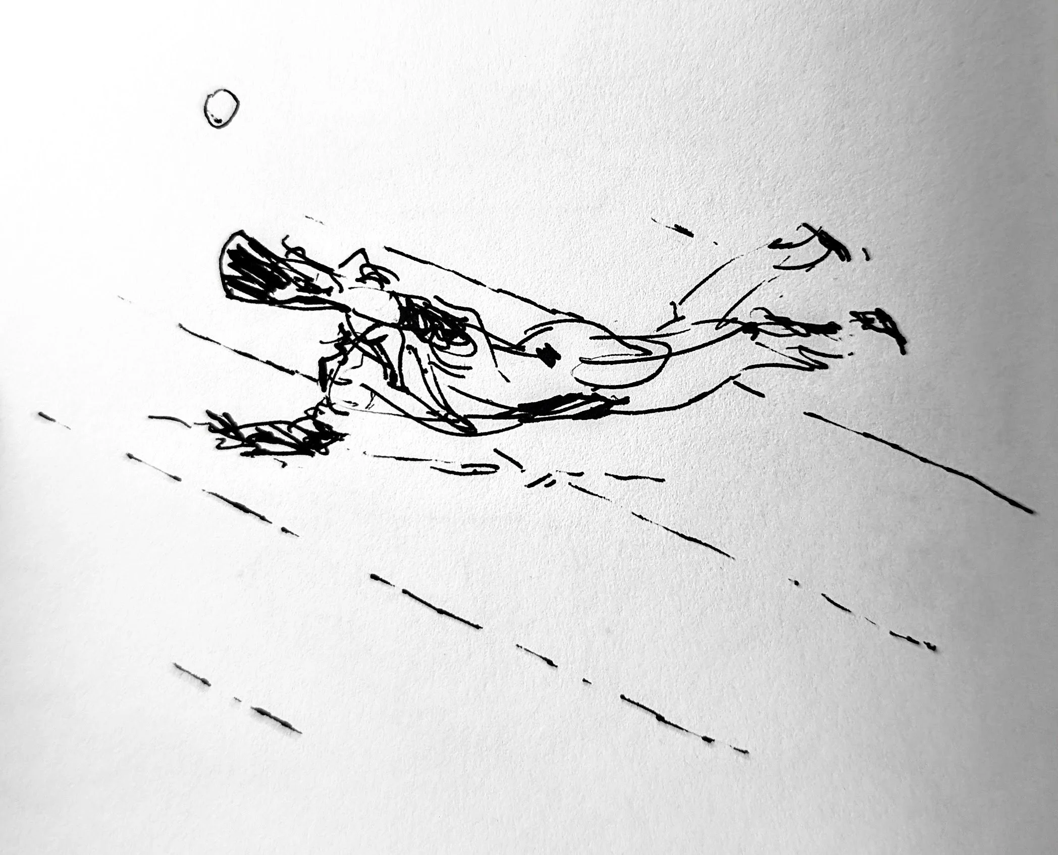 Diving catch