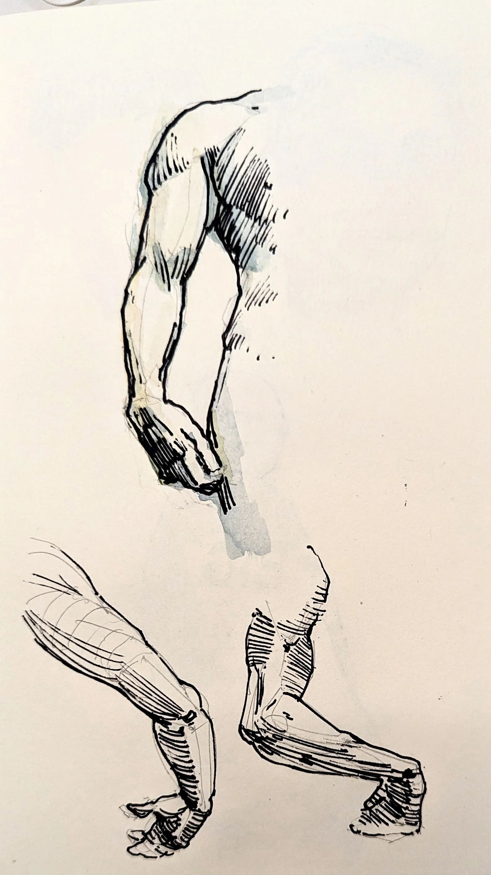 Arms