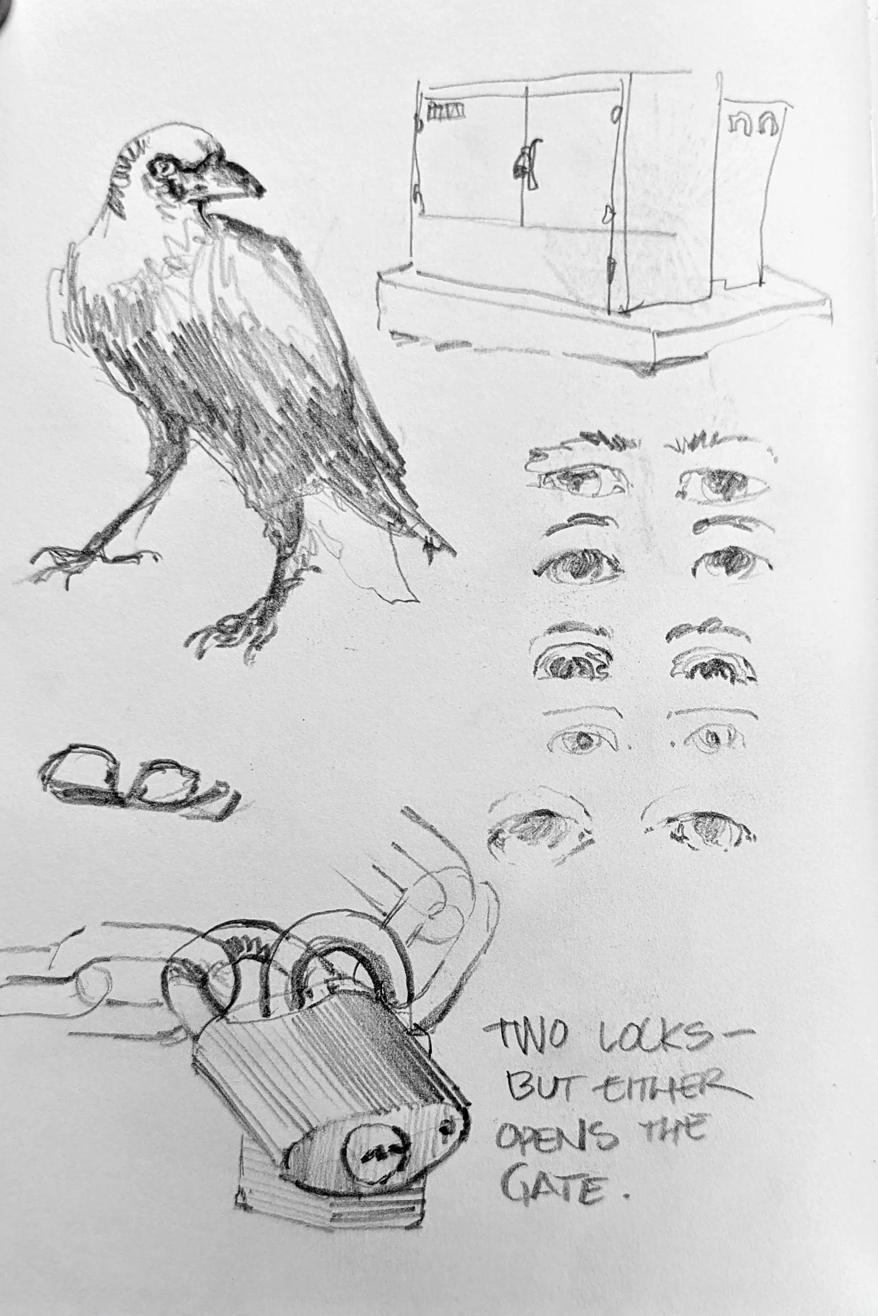Crow and lock cleverness