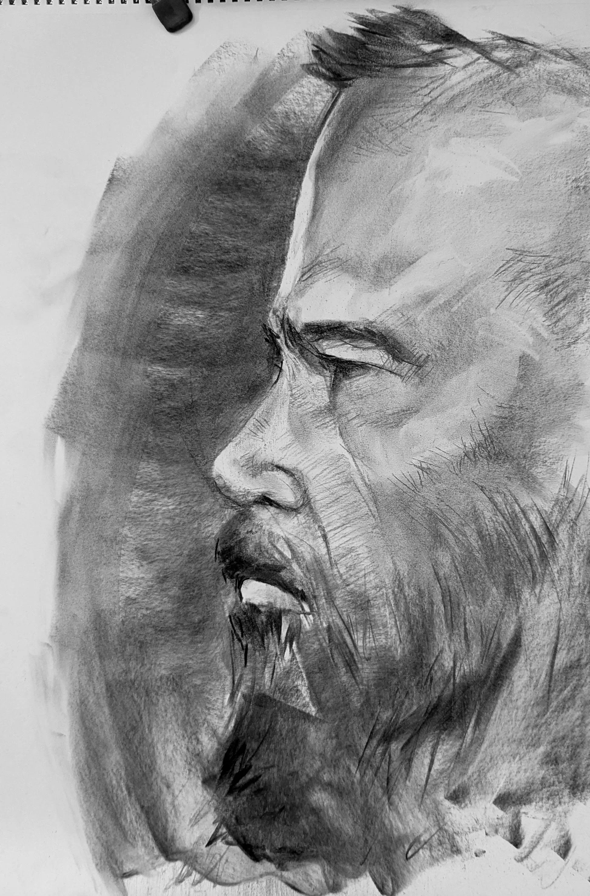 Charcoal Profile 2 Sept 13 2026.jpeg