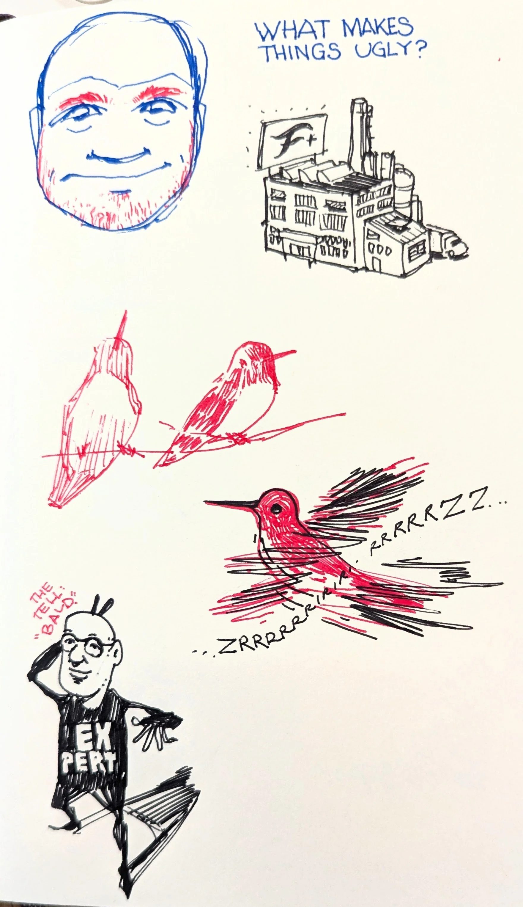 Hummingbird
