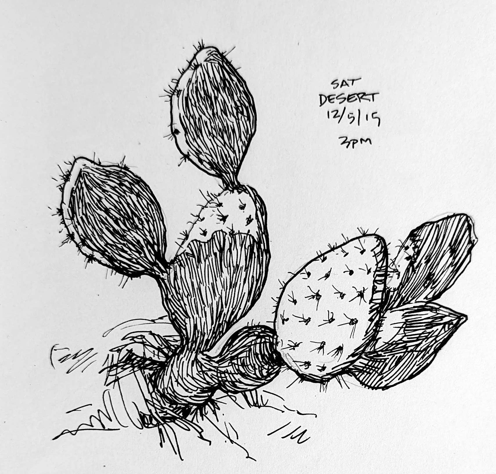 Prickley