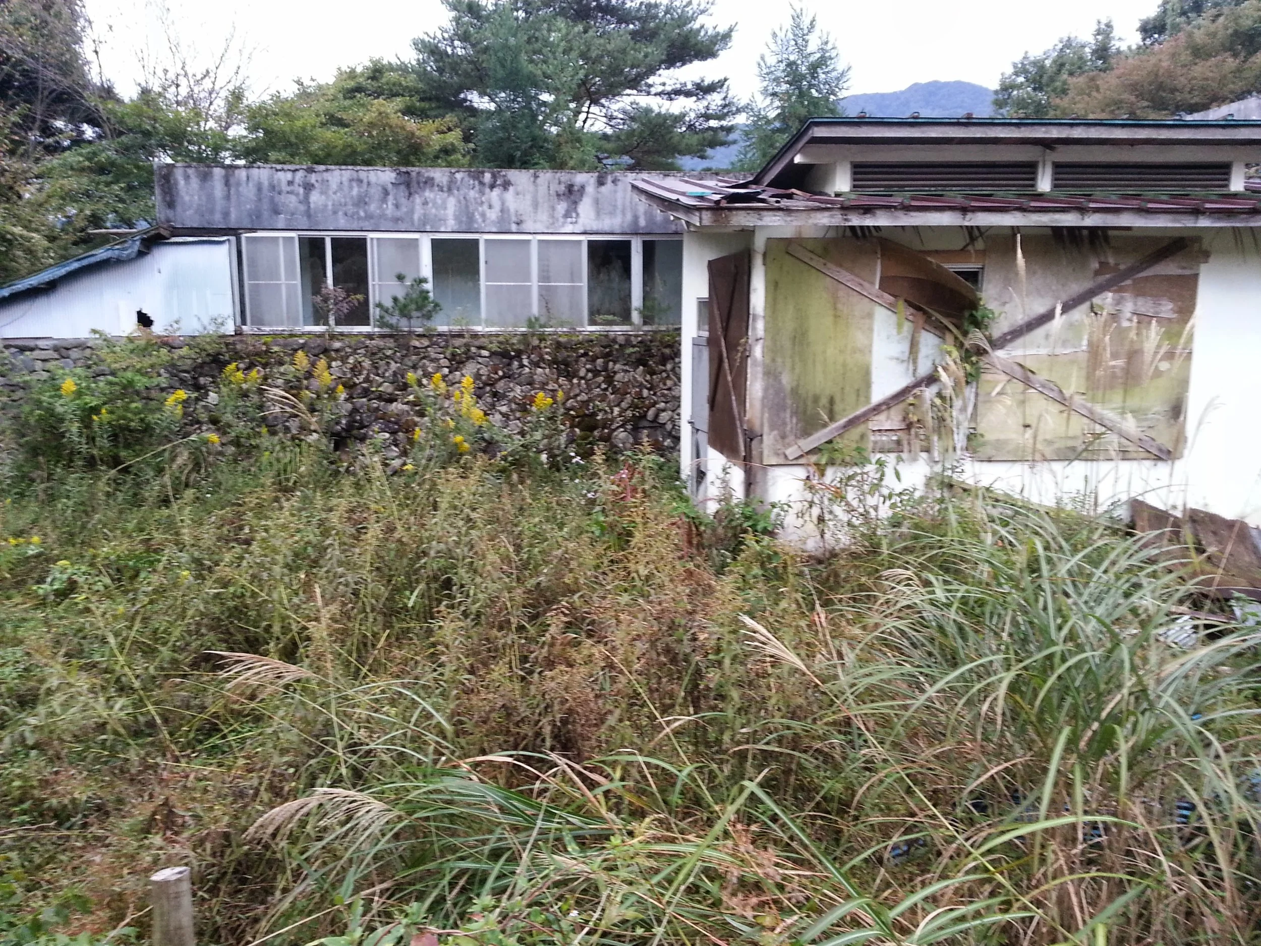 Derelict Japanese buildings