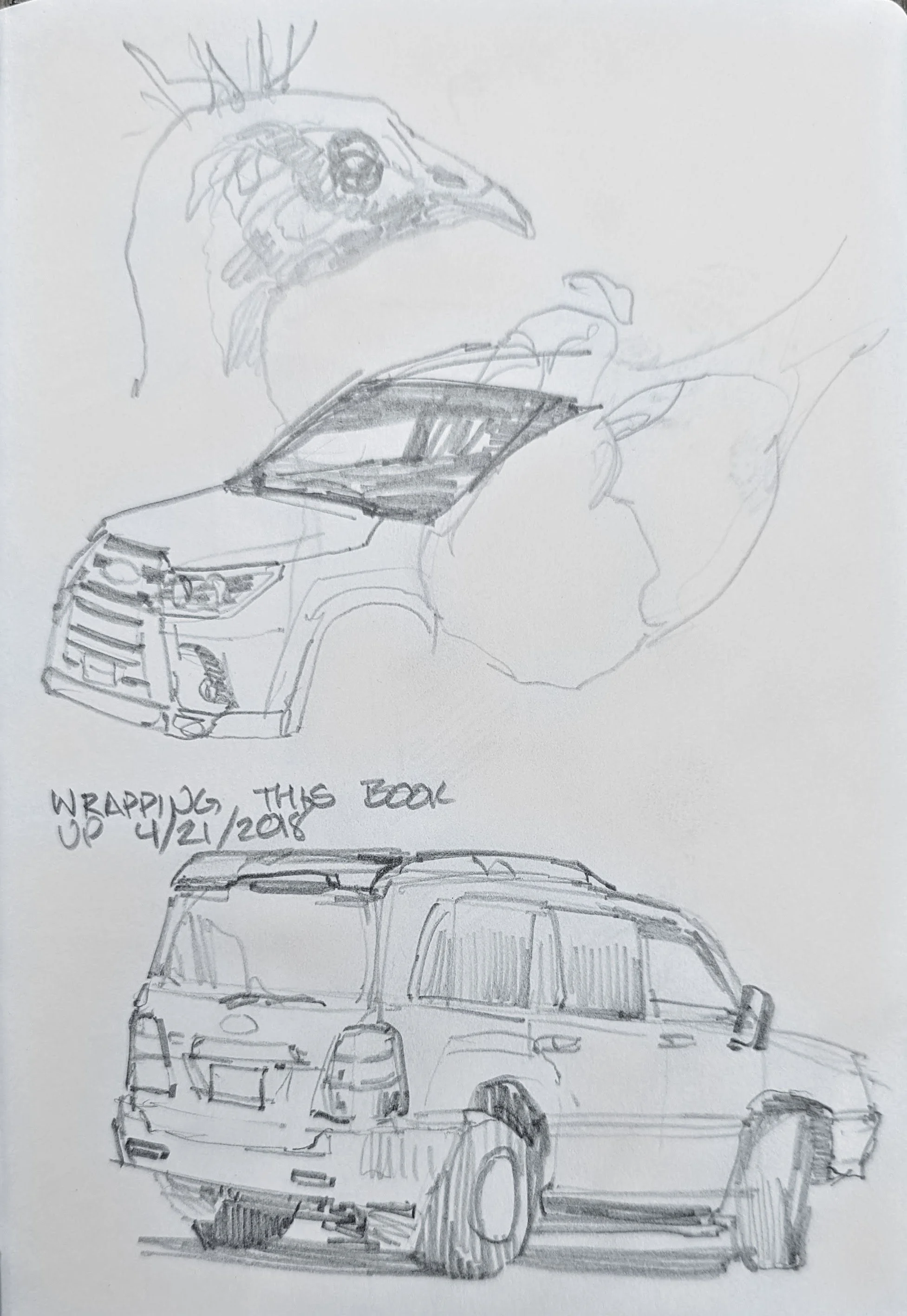 Car looks