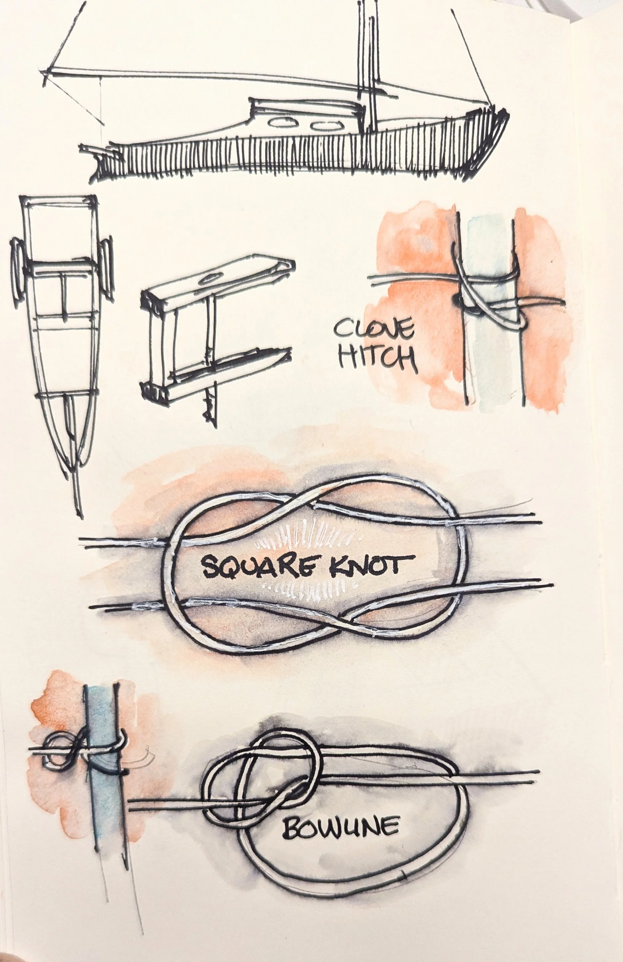 Knots