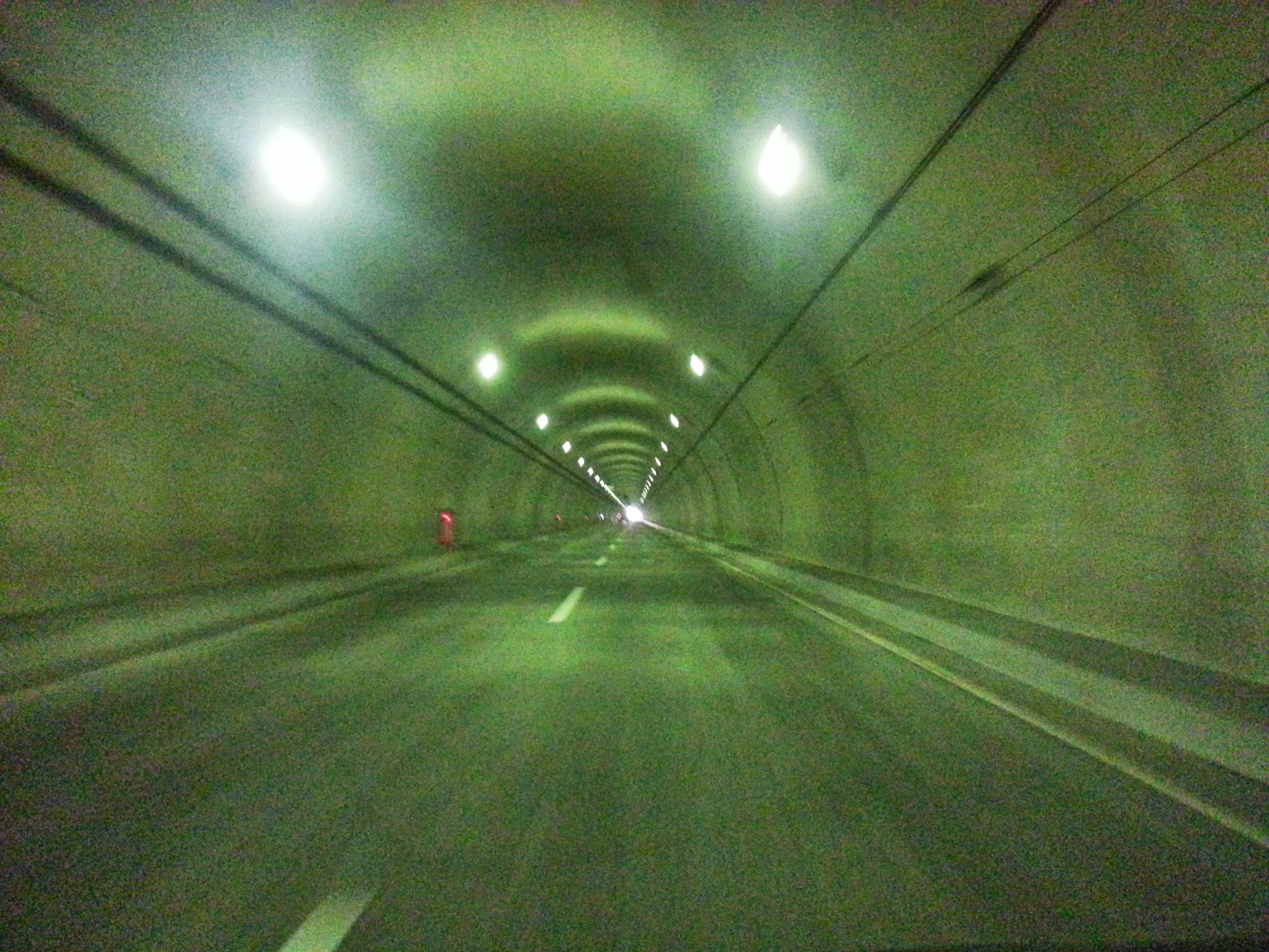 Green Tunnel, Tokyo, Japan