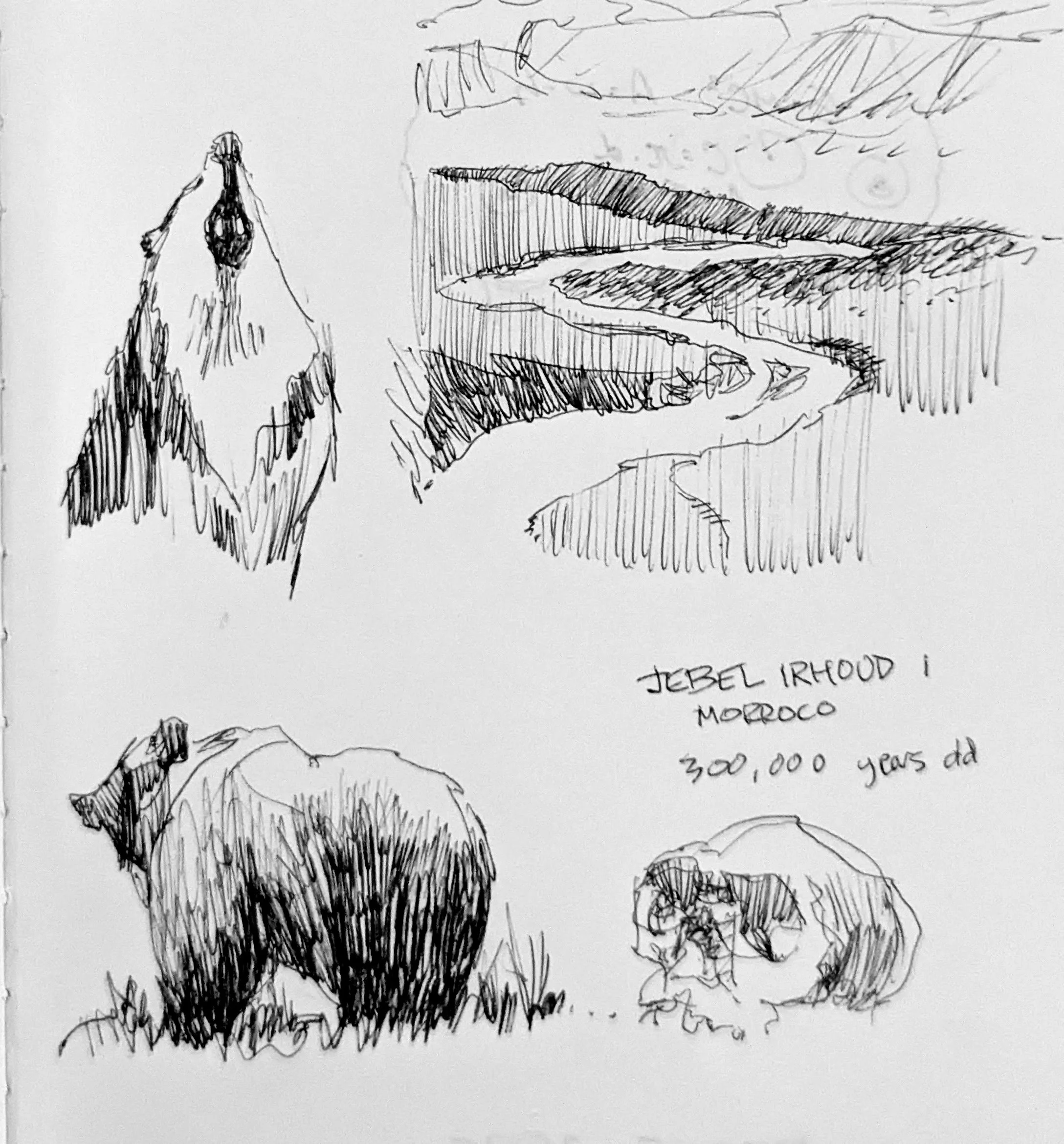 Wilderness creatures