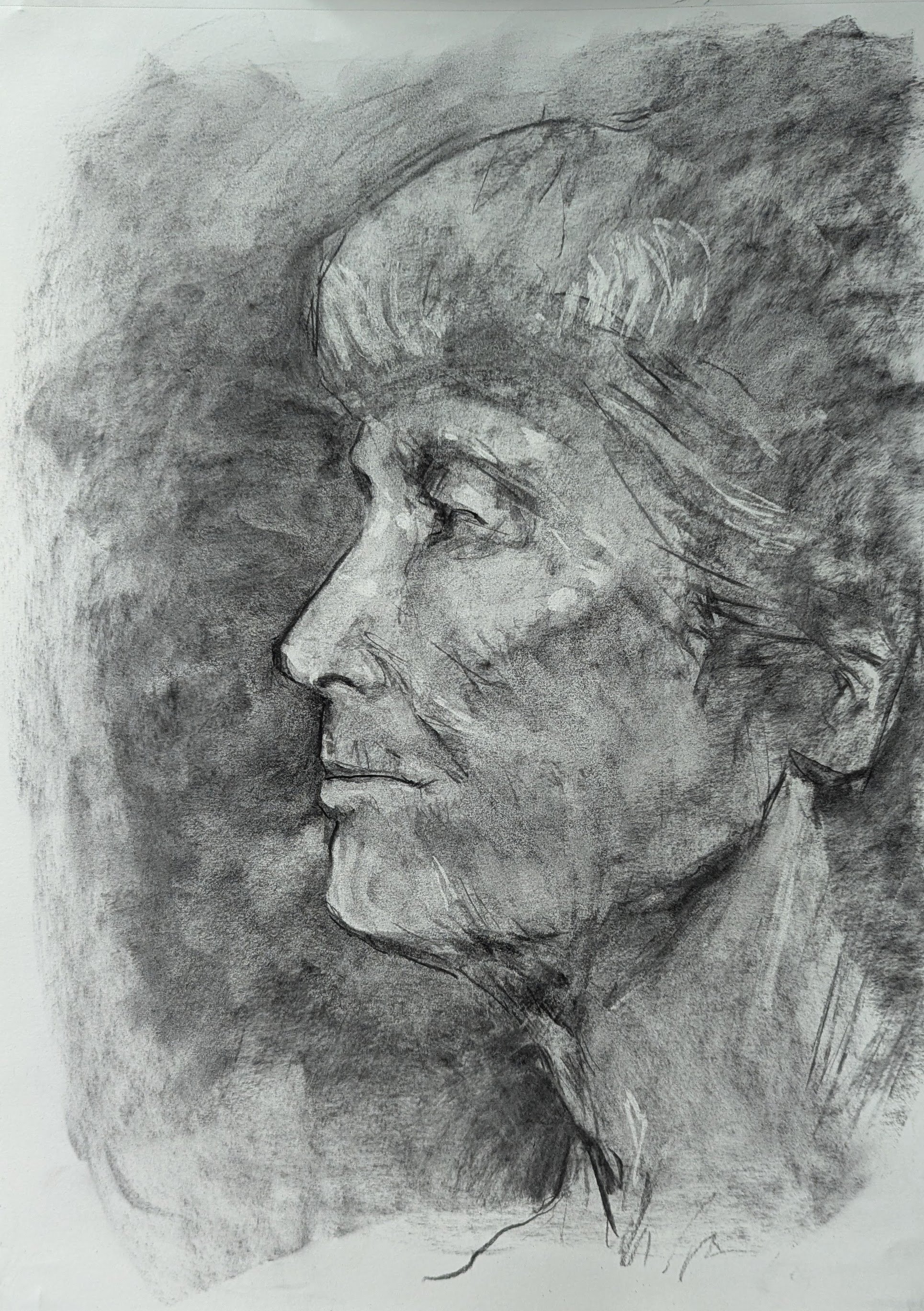 Stephanie profile.jpg